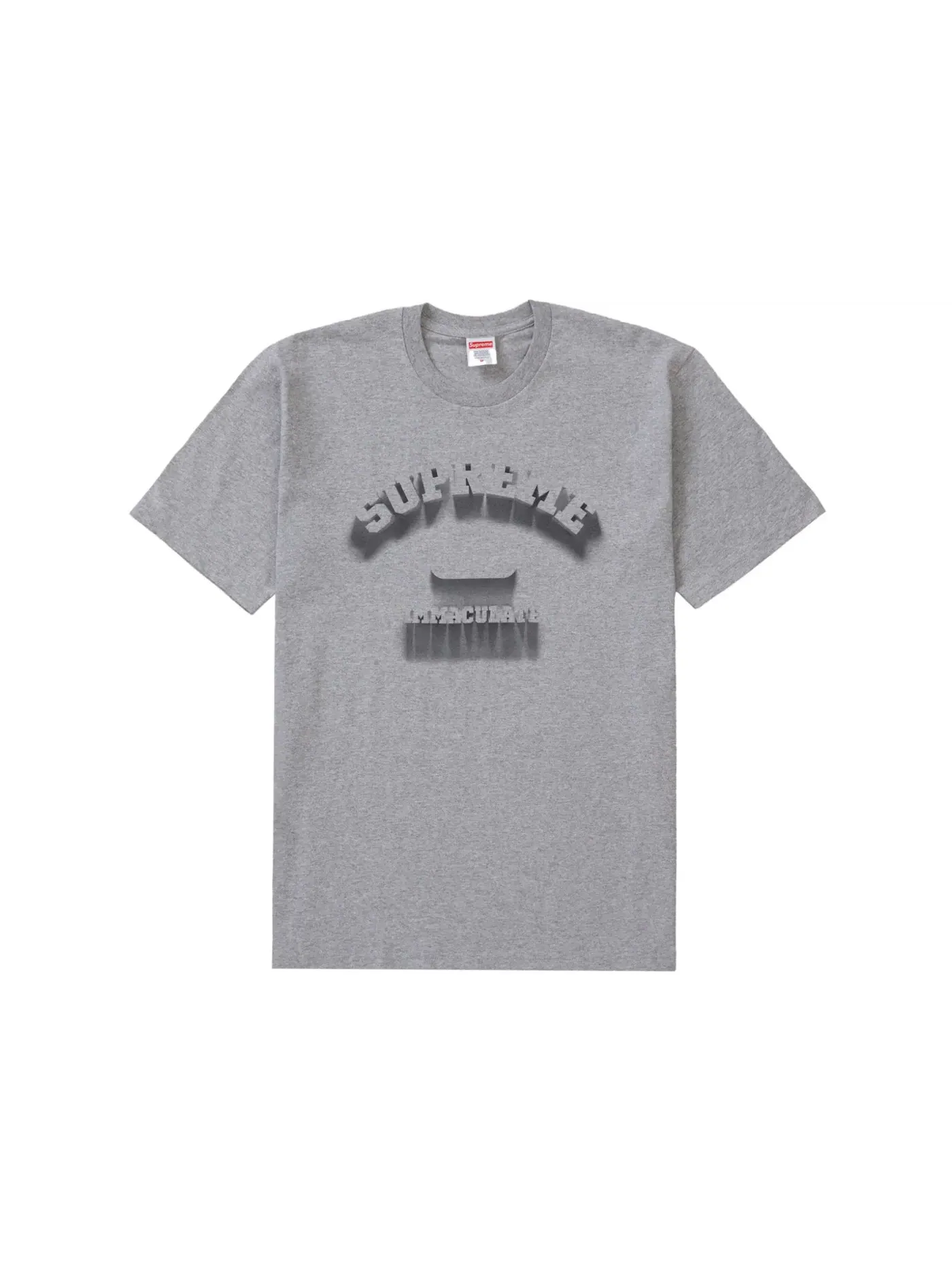 Мужская футболка с принтом Supreme Tee (SS24) — изображение 1 из 1, серый