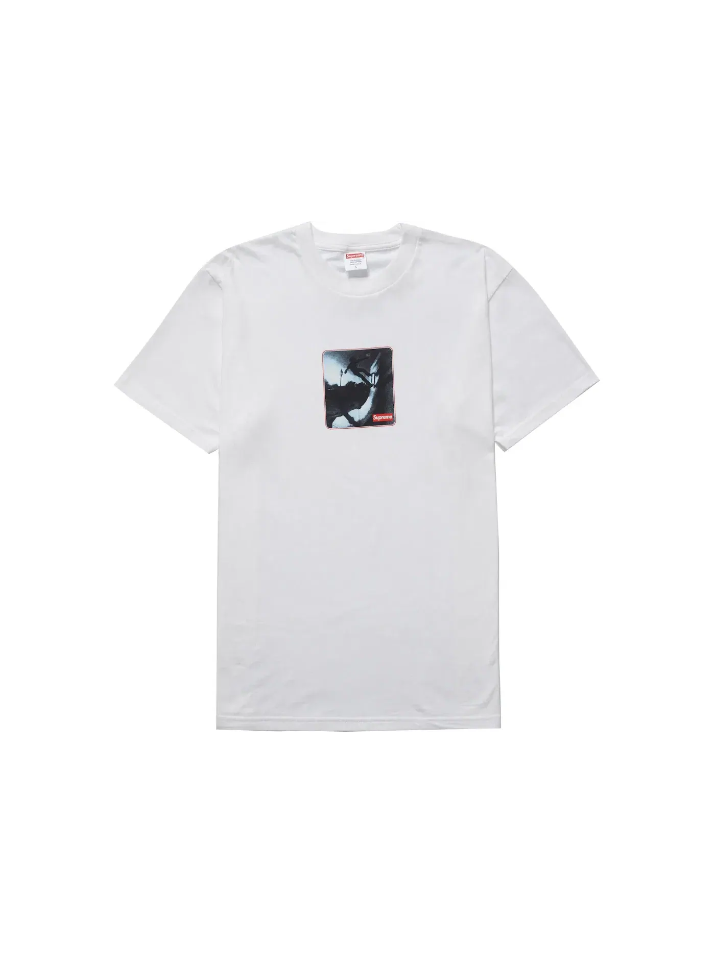 Мужская футболка Supreme Tee — изображение 1 из 1, белый
