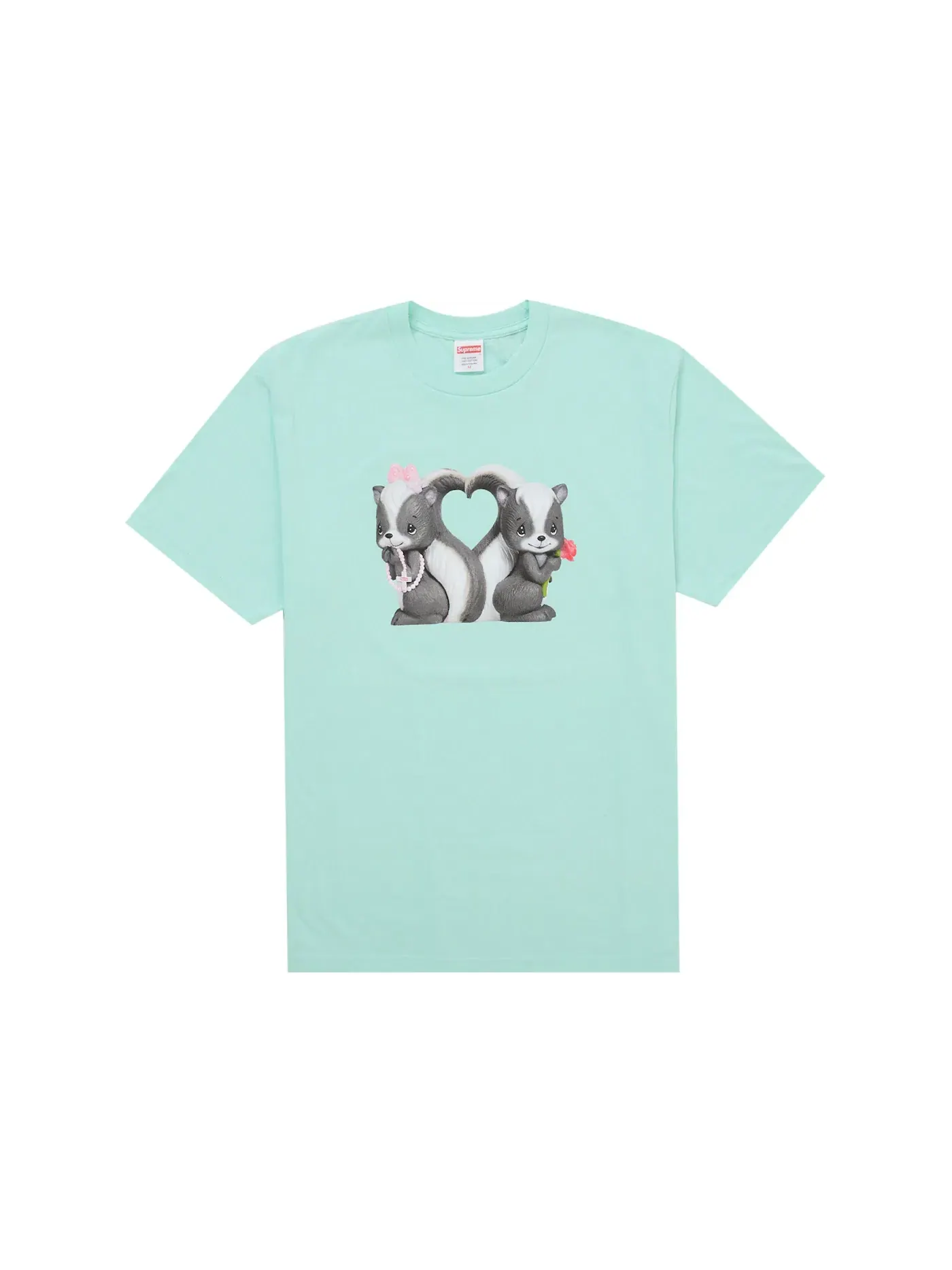 Мужская футболка с принтом Supreme Tee — изображение 1 из 1, мята
