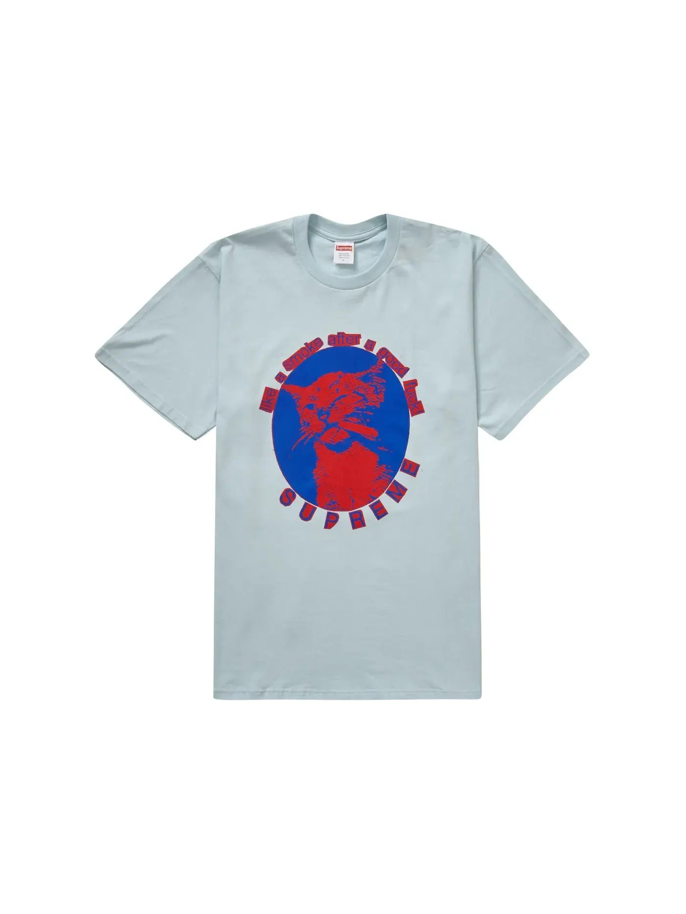 Мужская футболка с принтом Supreme Tee (SS23) — изображение 1 из 1, бледный синий