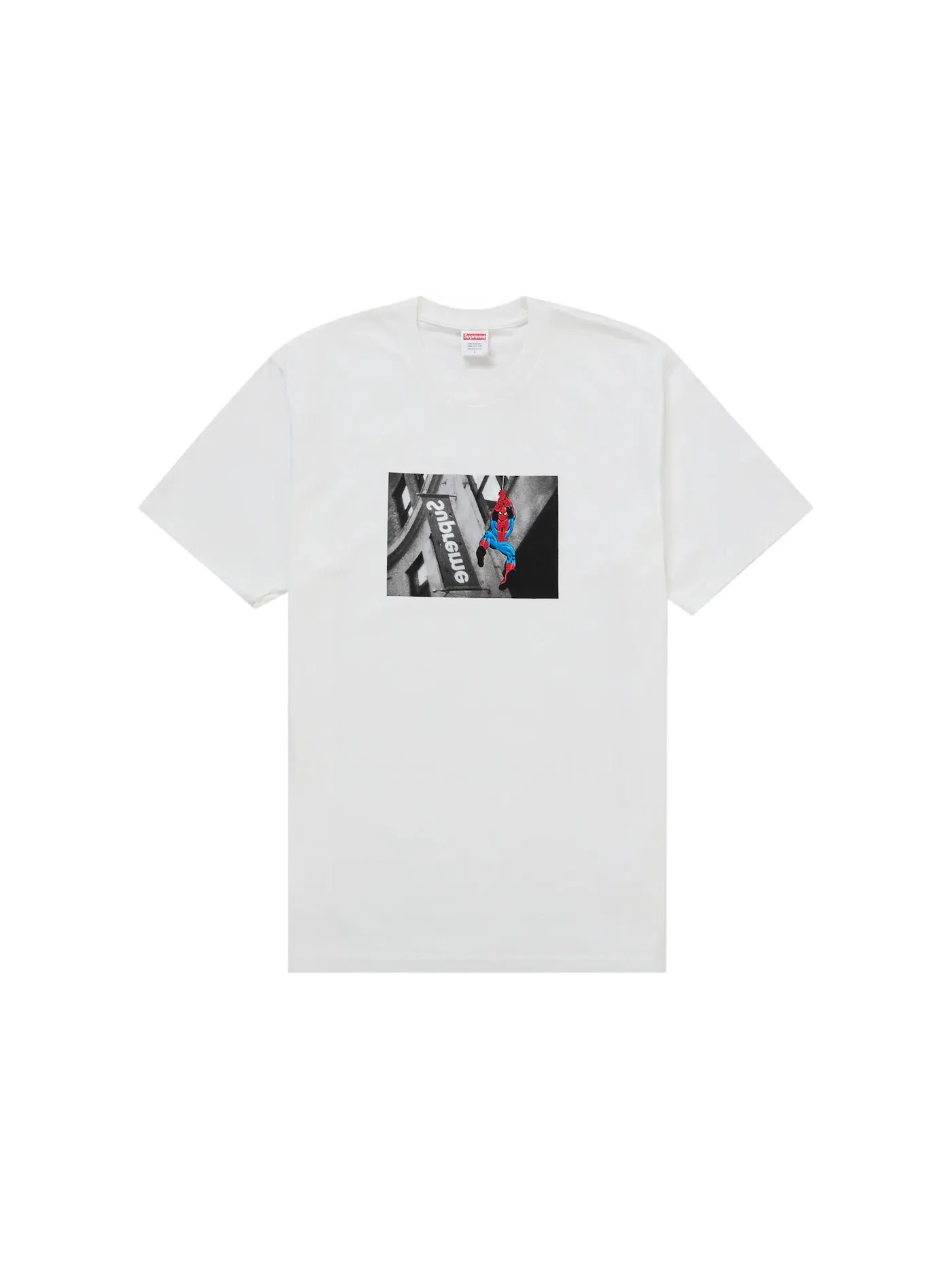 Мужская футболка с принтом Tee Supreme — изображение 1 из 1, белый