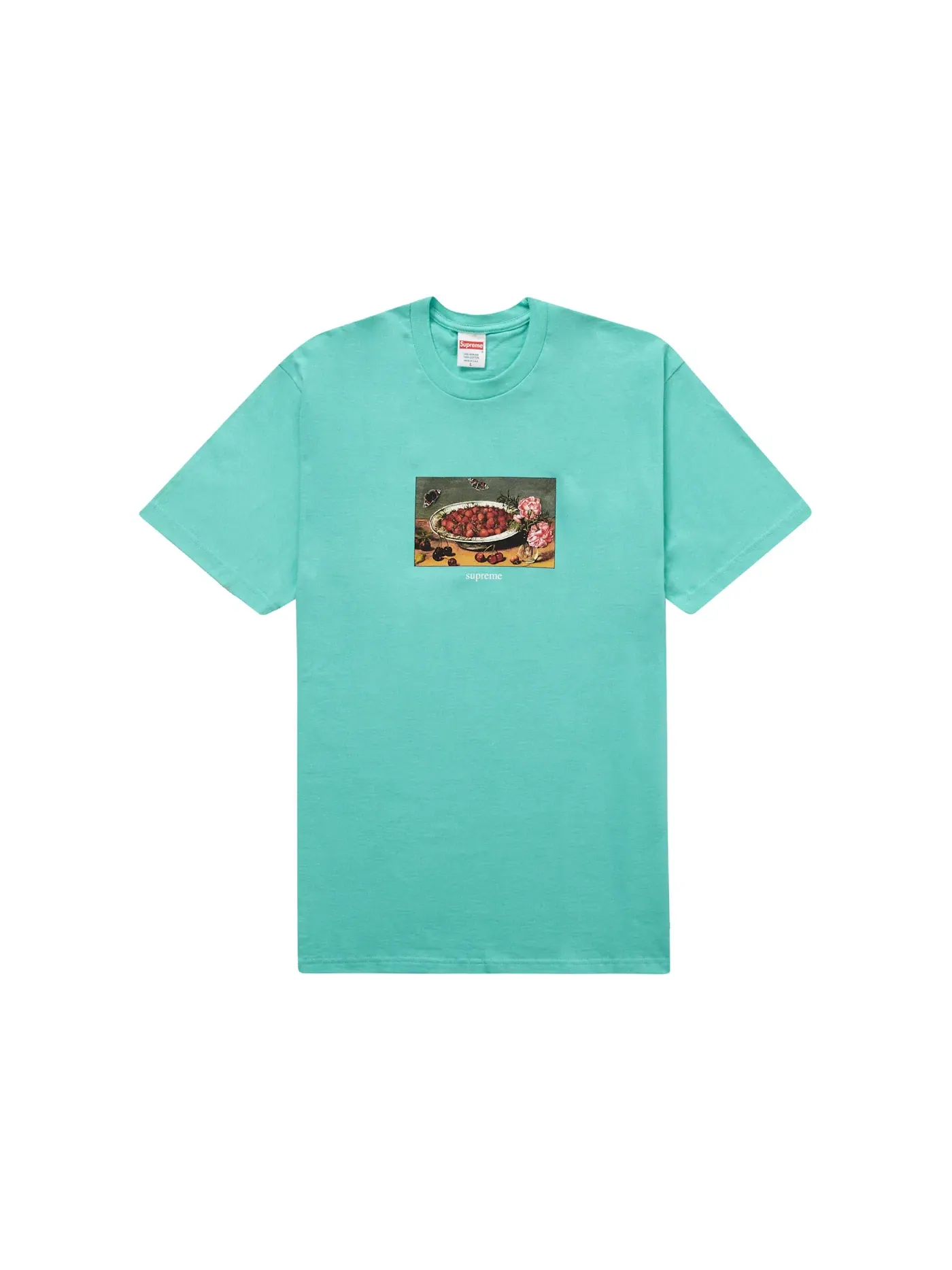 Мужская футболка с принтом Supreme Tee — изображение 1 из 1, бирюзовый