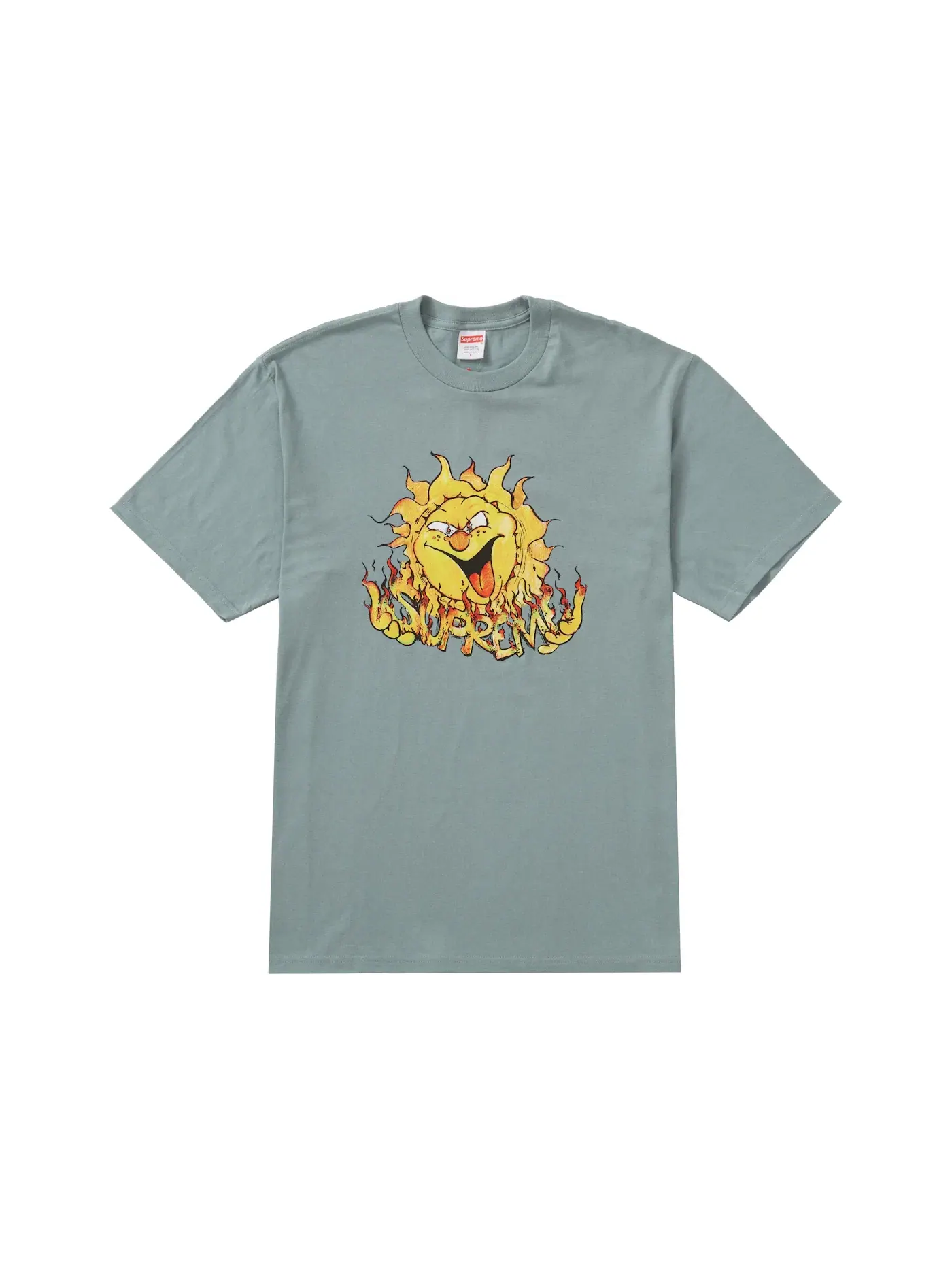 Мужская футболка с принтом Supreme Tee — изображение 1 из 1, зеленый