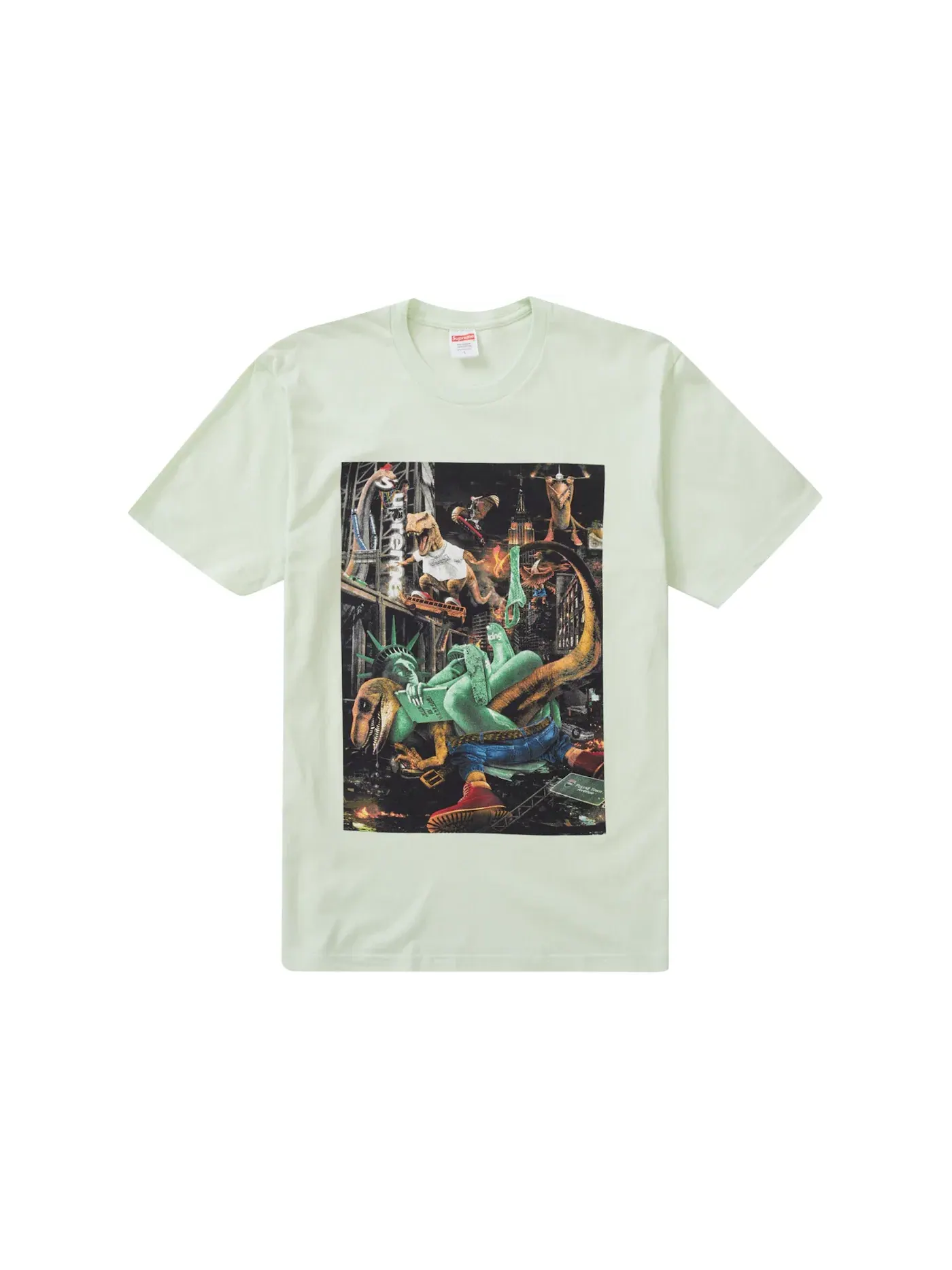 Мужская футболка с принтом Tee Supreme — изображение 1 из 1, бледный зеленый