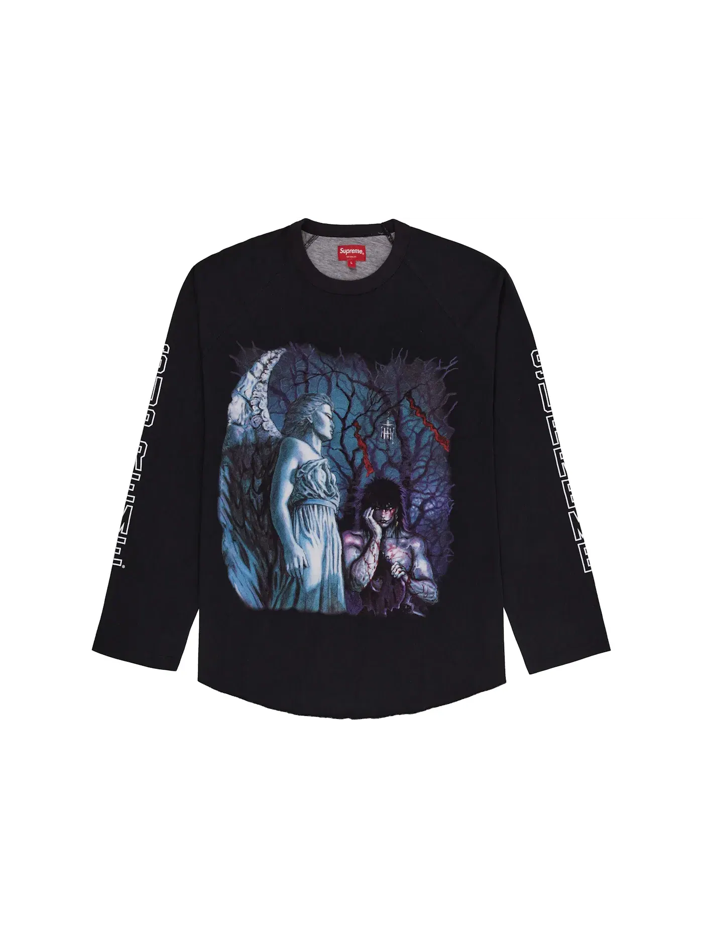 Мужская футболка с длинным рукавом Supreme The Crow Raglan L/S Tee — изображение 1 из 1, черный