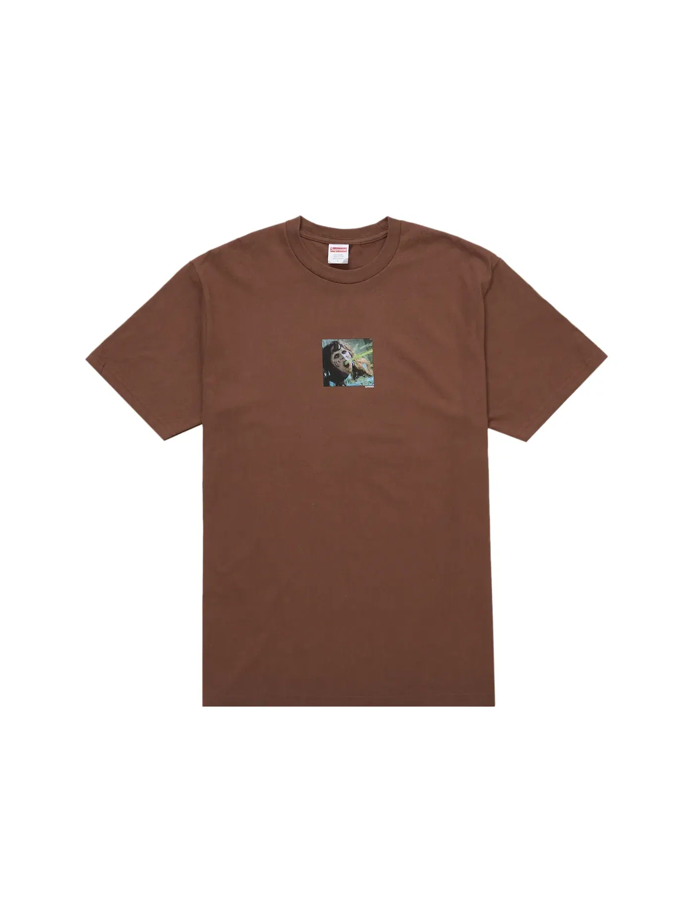 Мужская футболка с принтом Supreme The Exorcist Puke Tee — изображение 1 из 1, коричневый