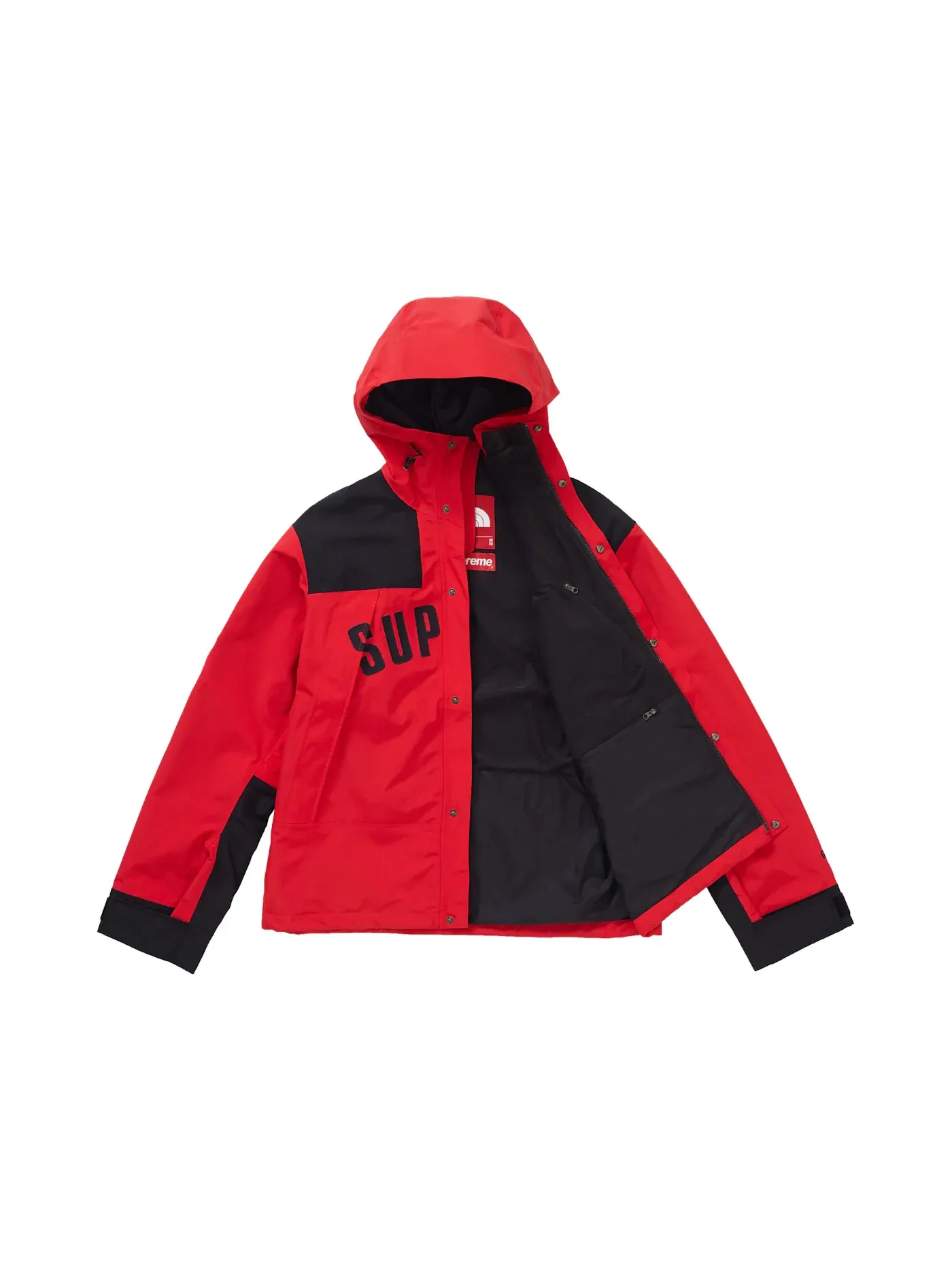 Мужская куртка The North Face Arc Logo Mountain Parka Supreme — изображение 2 из 3, красный