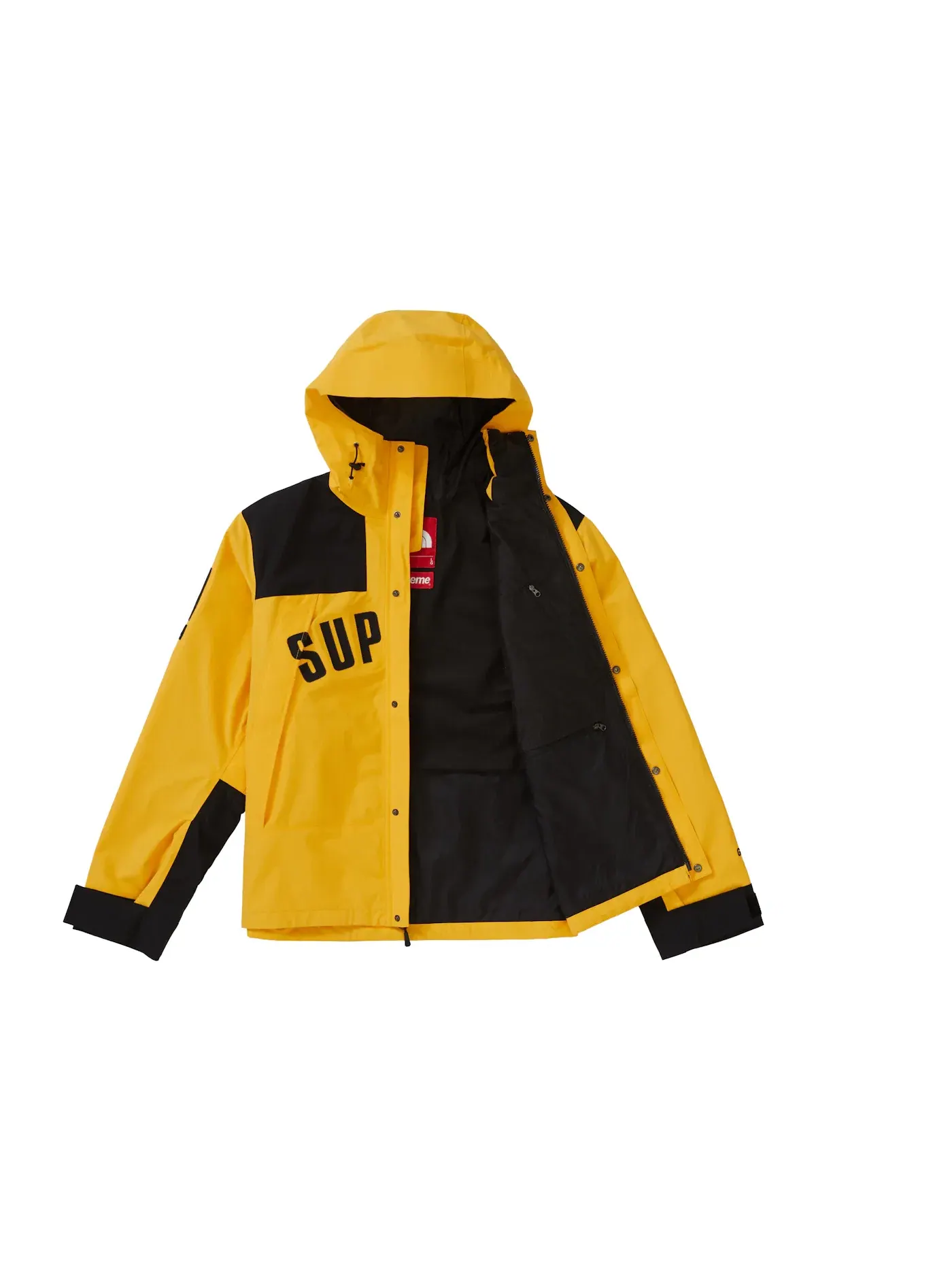 Мужская куртка-парка с принтом Arc Logo Supreme The North Face — изображение 2 из 3, желтый