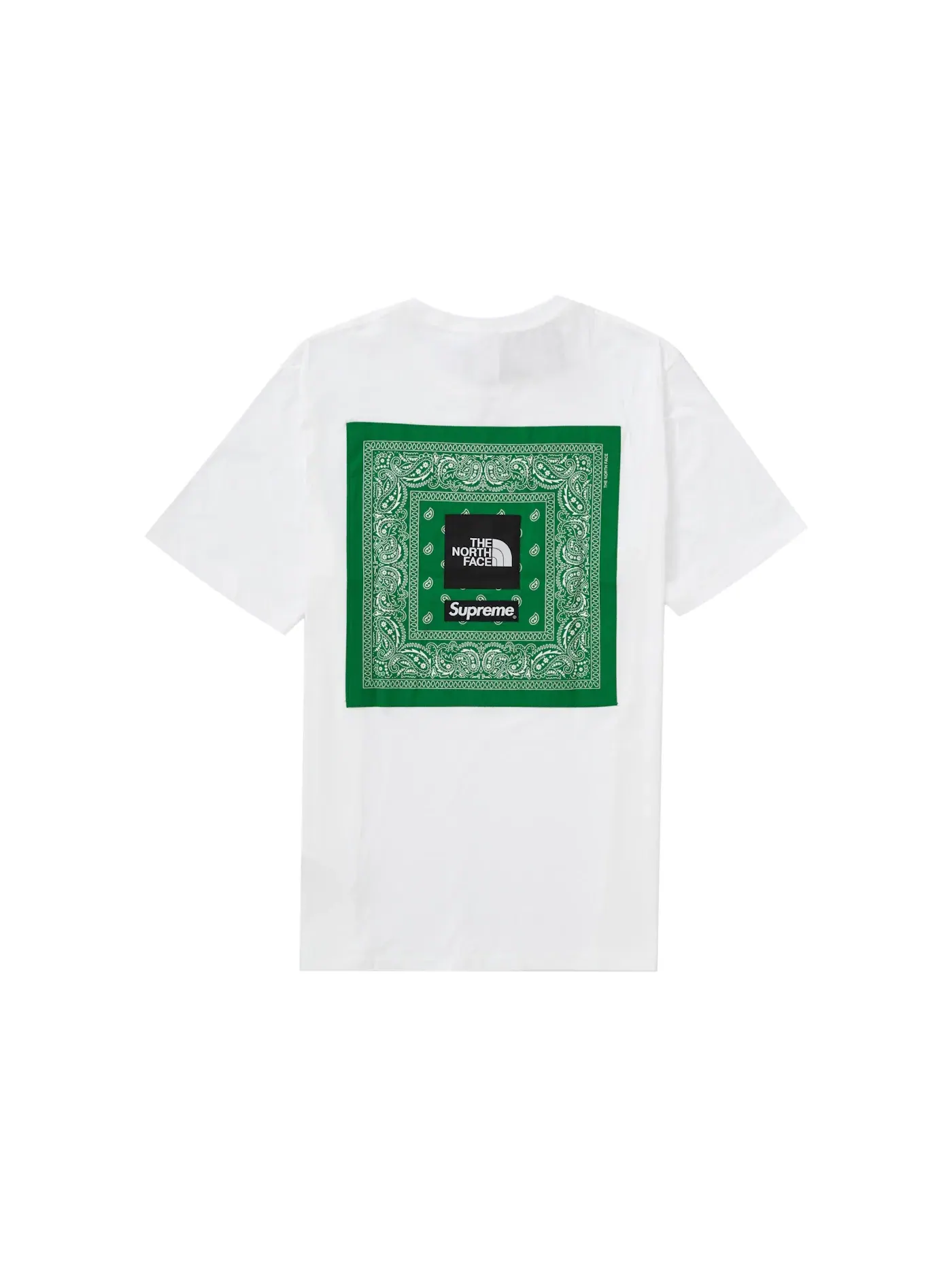 Мужская футболка с принтом Supreme The North Face Tee — изображение 1 из 2, белый