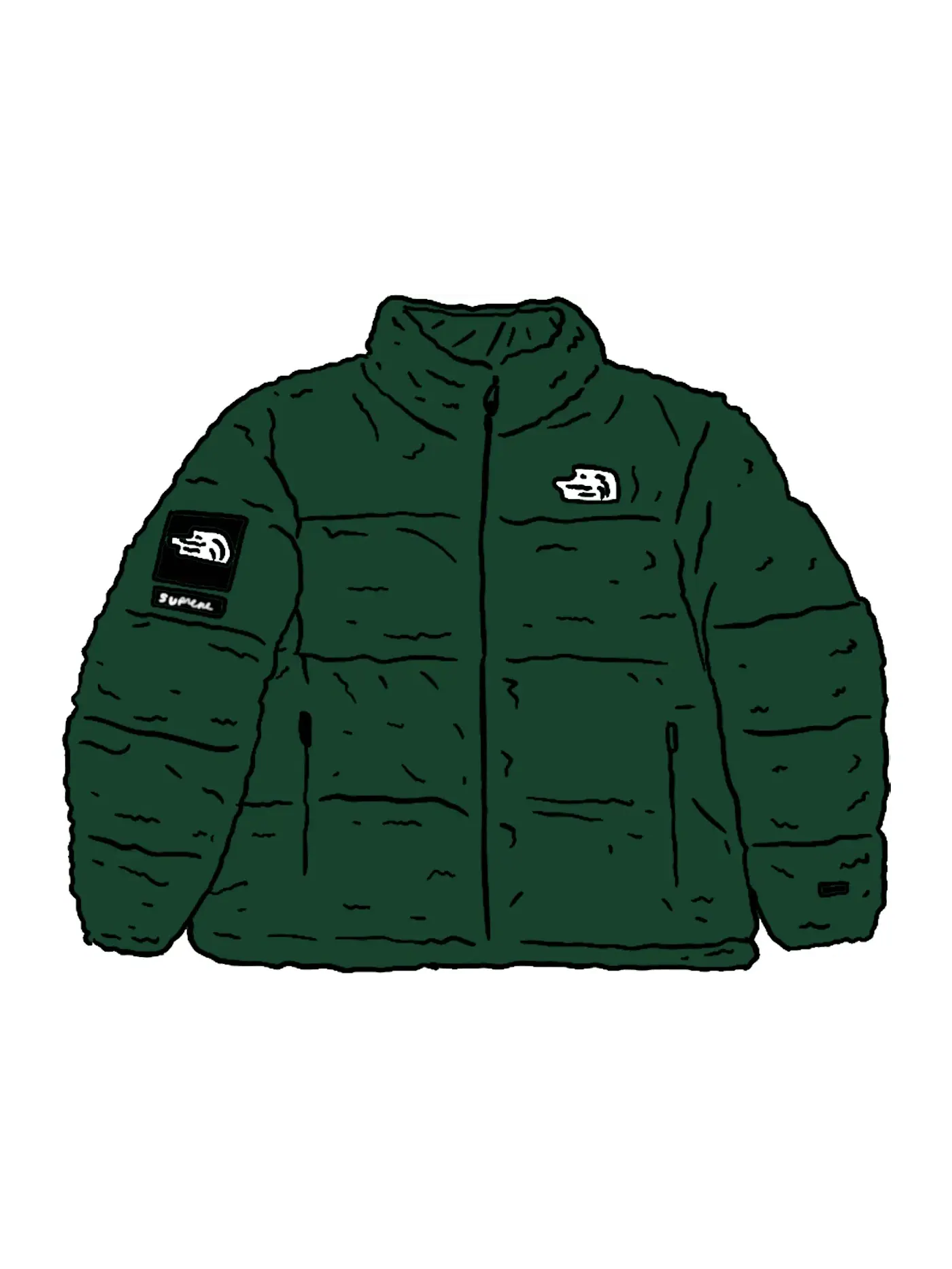 Мужская куртка-пуховик с искусственным мехом Nuptse Jacket Supreme — изображение 1 из 1, зеленый