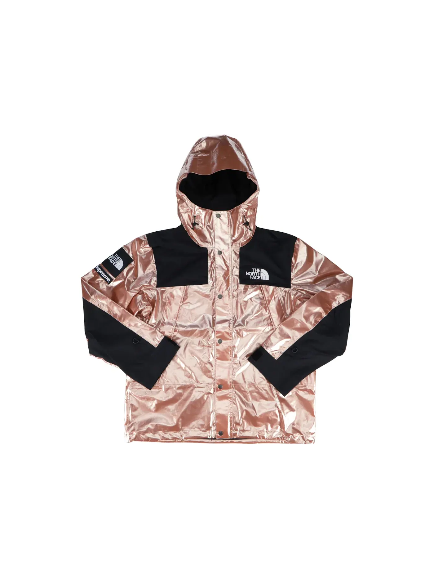 Мужская куртка-парка с металлическим покрытием Supreme The North Face Metallic Mountain Parka — изображение 1 из 3