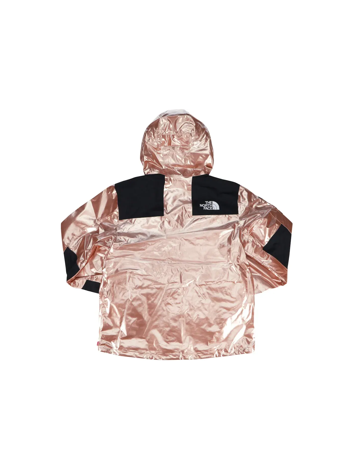 Мужская куртка-парка с металлическим покрытием Supreme The North Face Metallic Mountain Parka — изображение 2 из 3