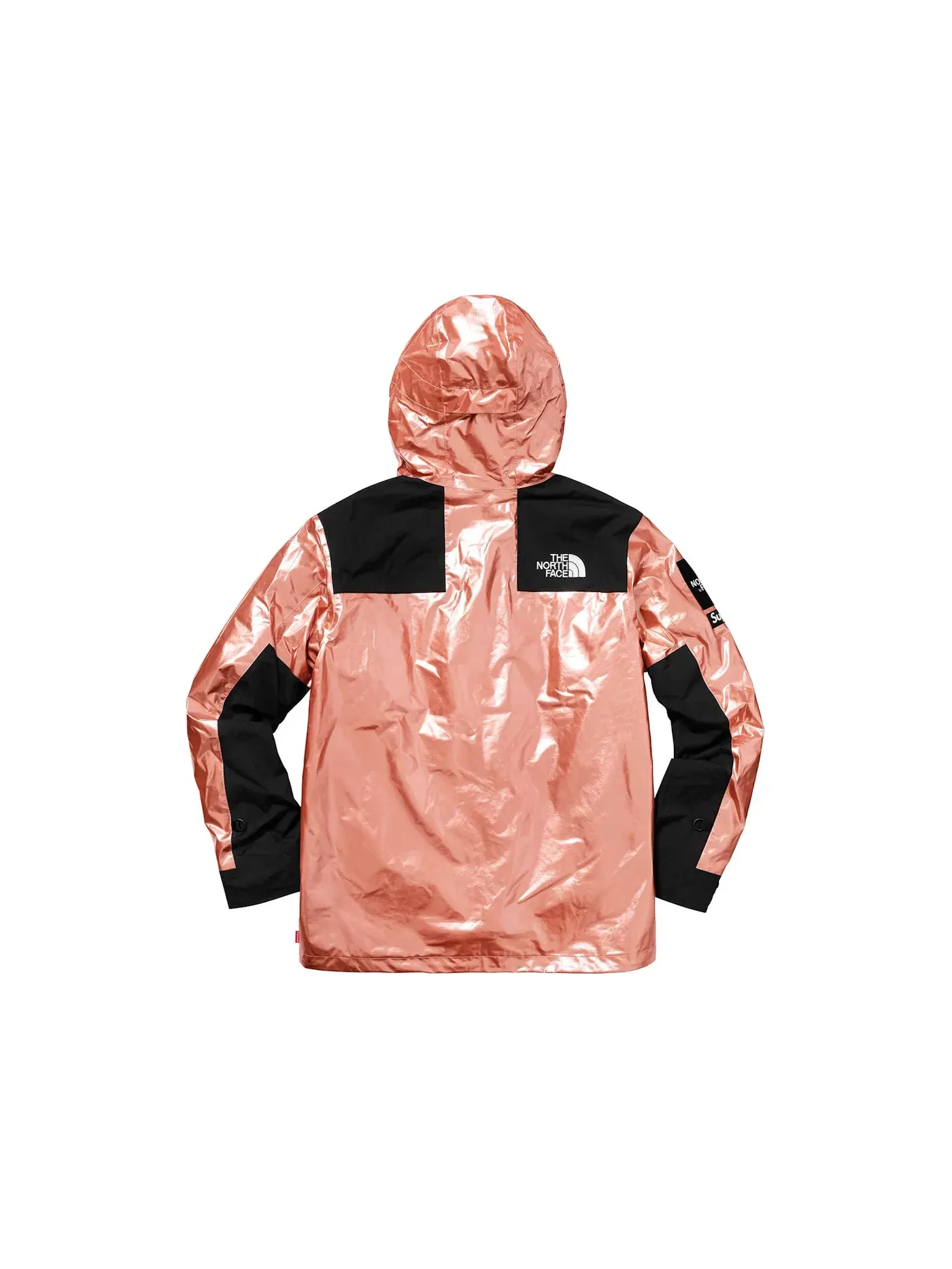 Мужская куртка-парка с металлическим покрытием Supreme The North Face Metallic Mountain Parka — изображение 3 из 3