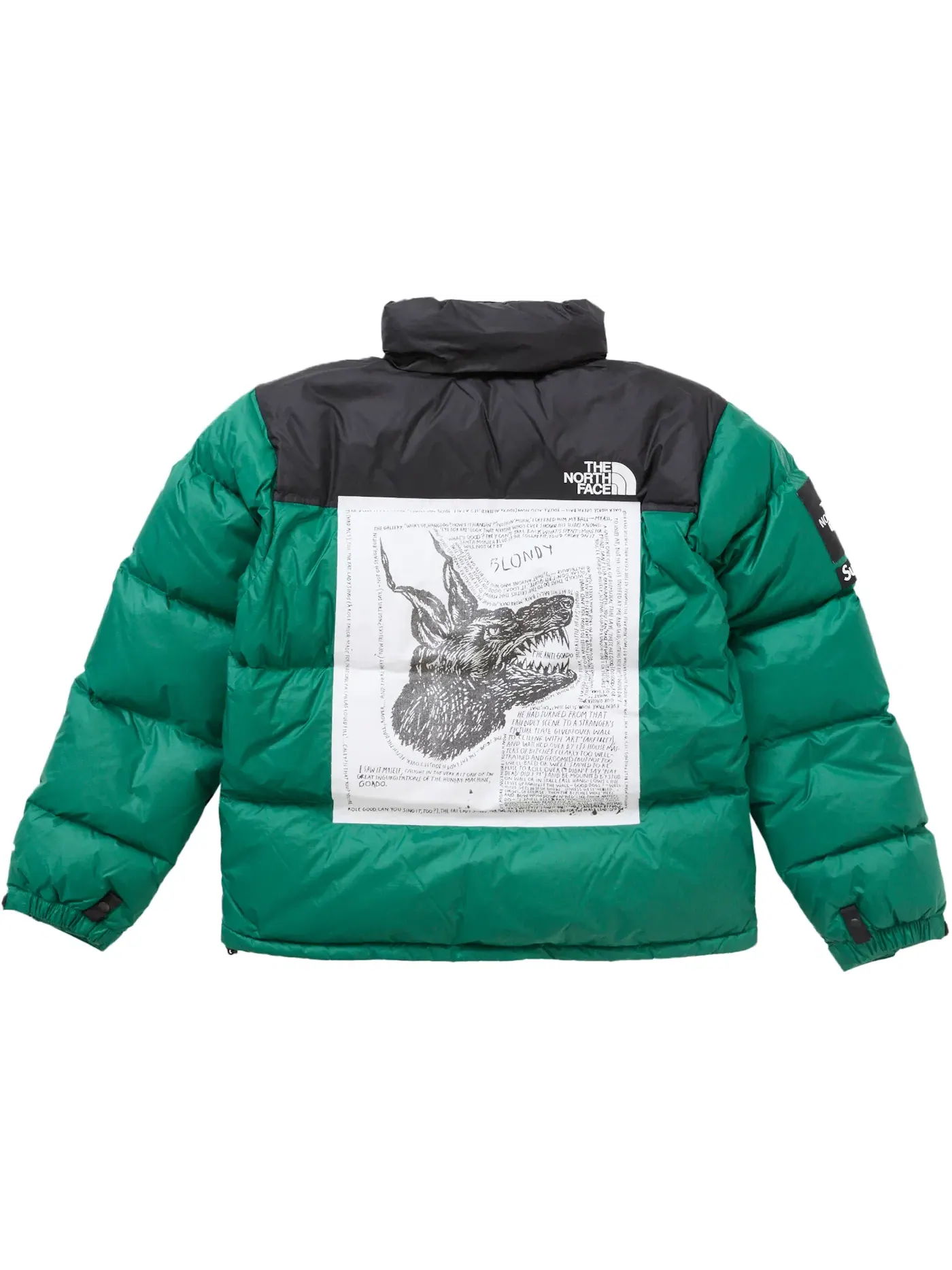 Мужская куртка с принтом Nuptse Jacket Supreme — изображение 1 из 4, зеленый