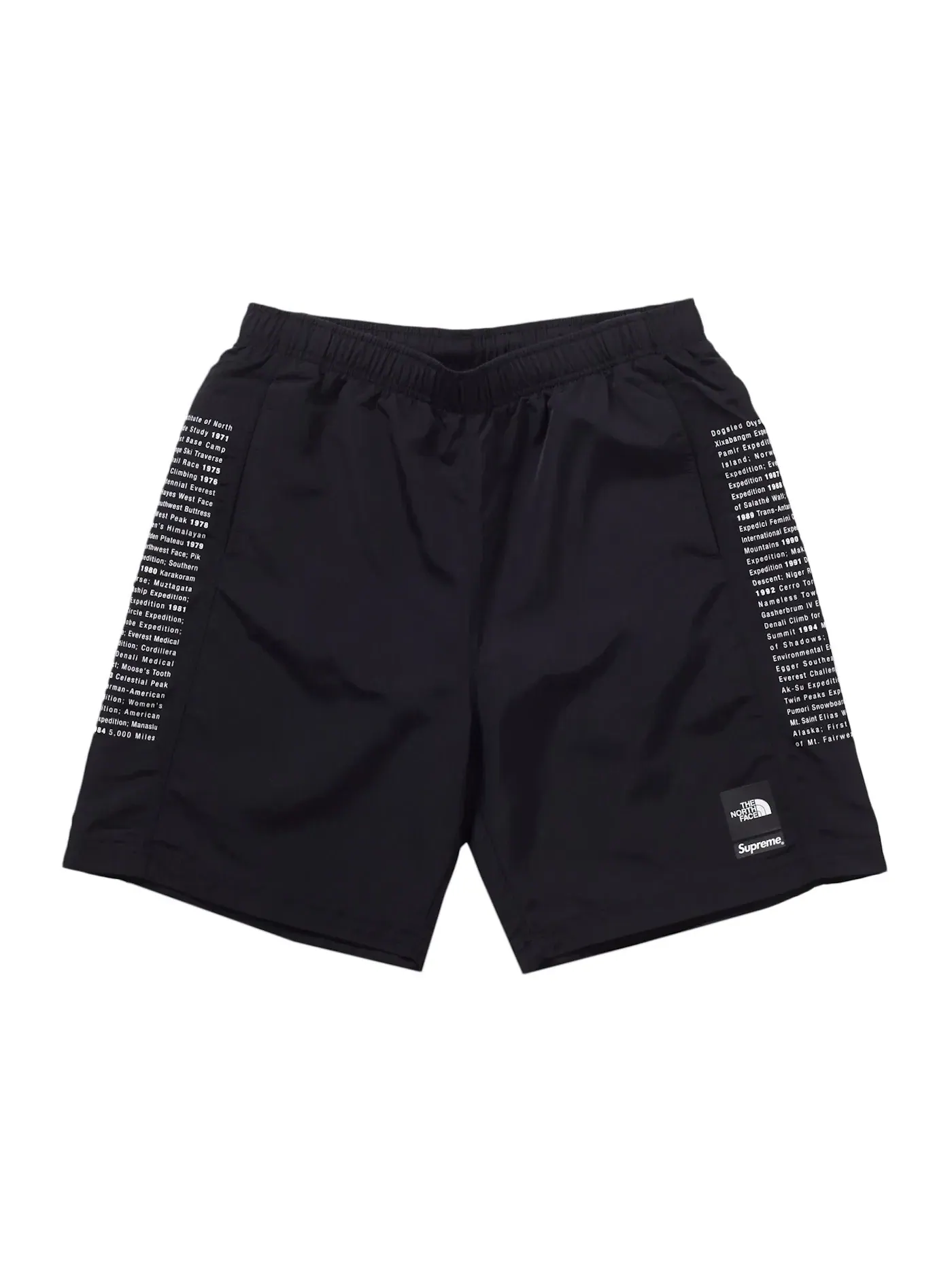 Мужские шорты из нейлона с принтом Supreme The North Face Short — изображение 1 из 3, черный