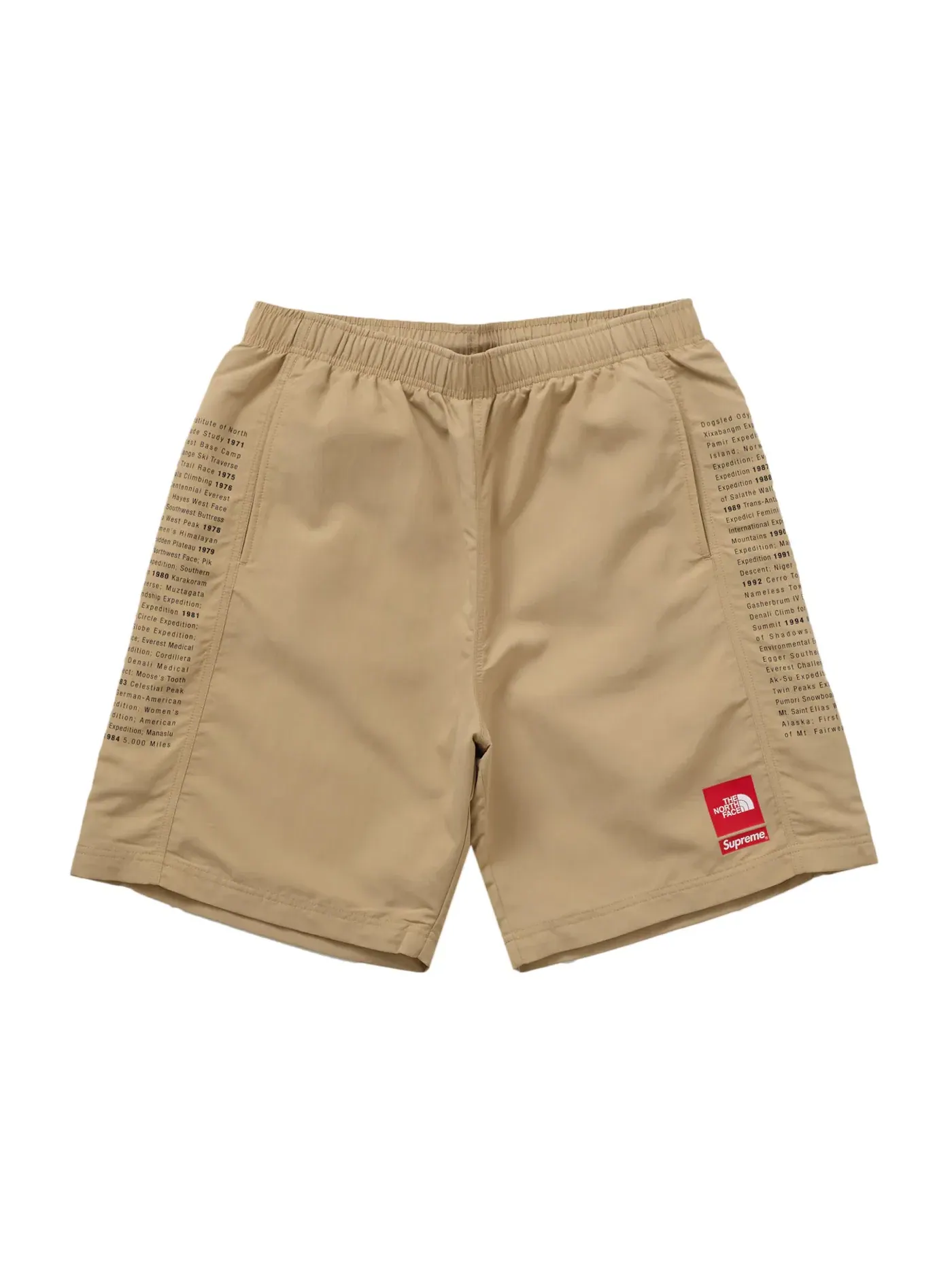 Мужские шорты с принтом Supreme The North Face Short — изображение 1 из 3, хаки