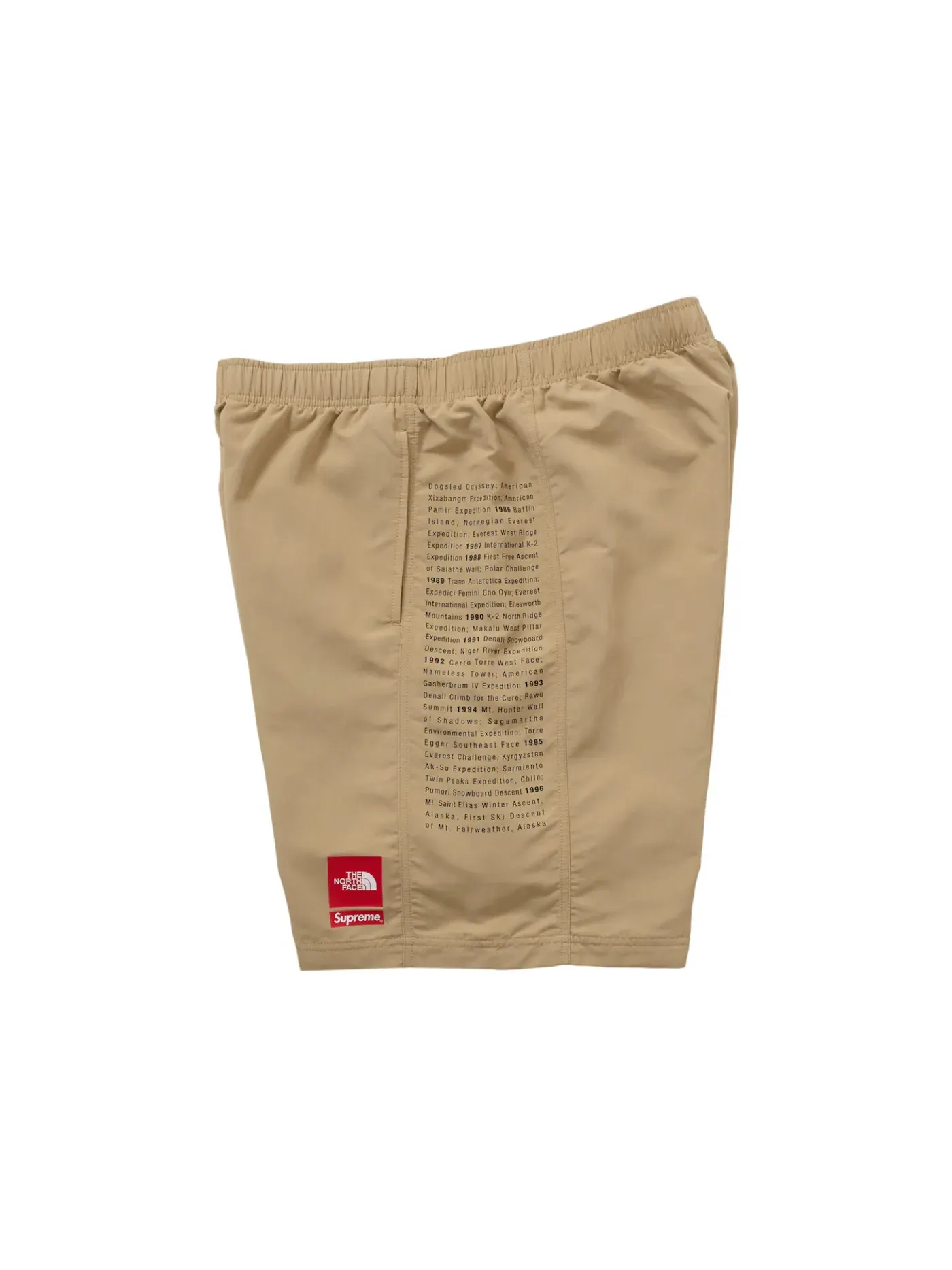 Мужские шорты с принтом Supreme The North Face Short — изображение 2 из 3, хаки
