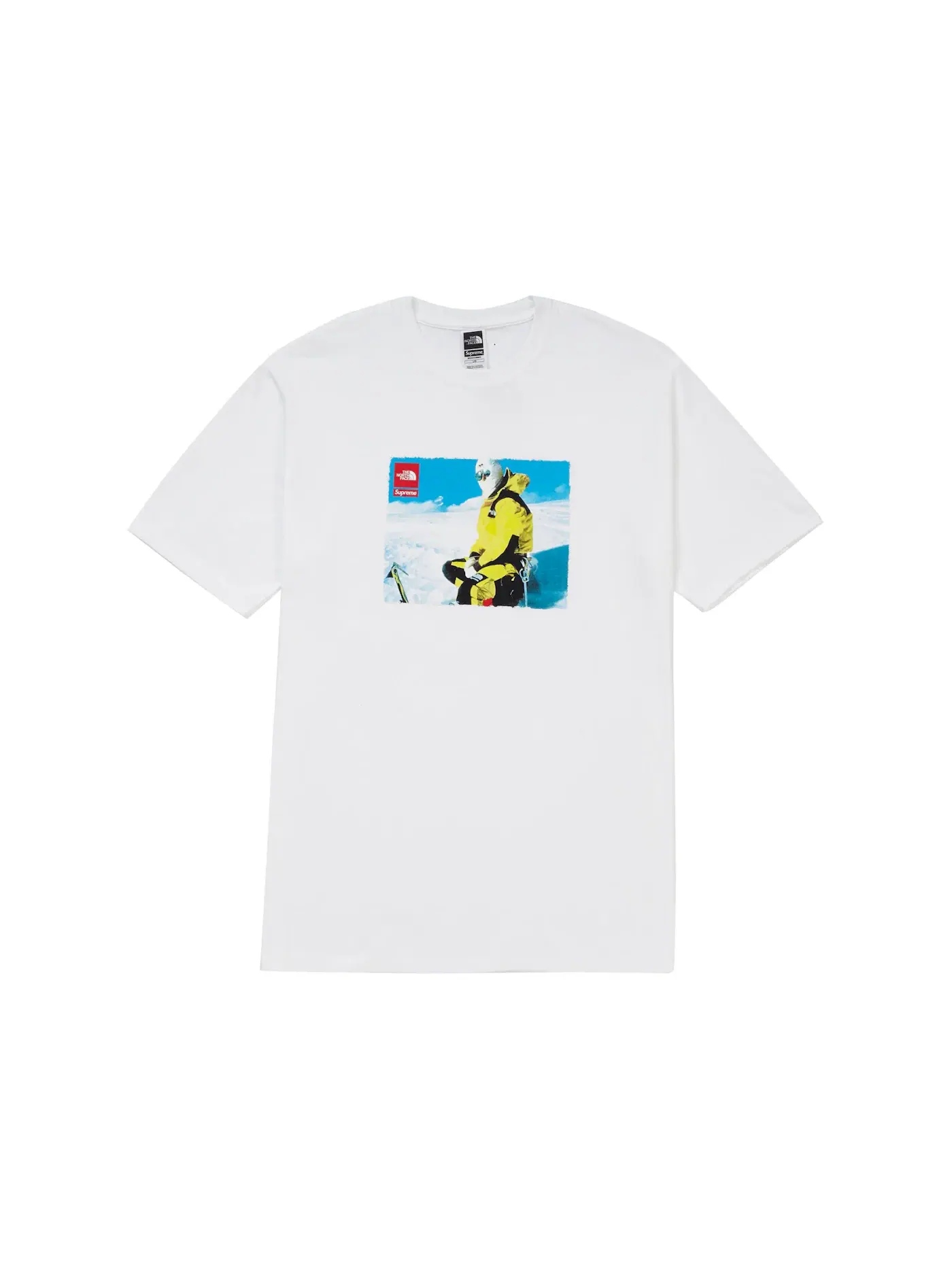 Мужская футболка с принтом Supreme The North Face Tee — изображение 1 из 1, белый