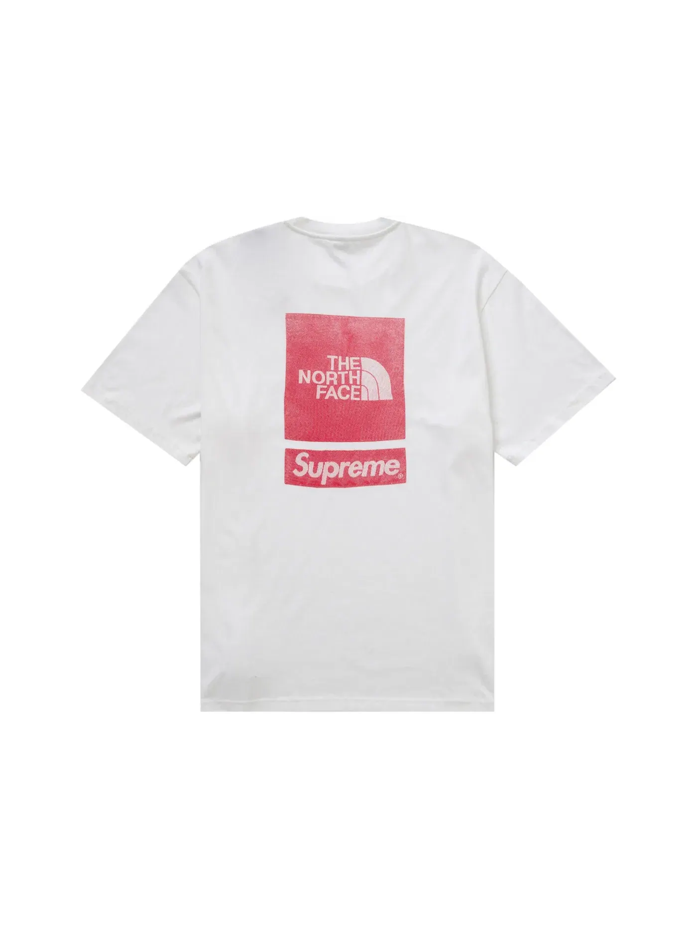 Мужская футболка с принтом Supreme, The North Face — изображение 1 из 2, белый