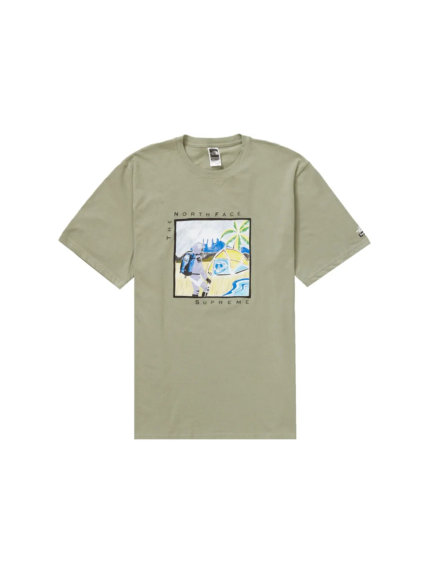 Мужская футболка с принтом Sketch Supreme The North Face — изображение 1 из 1, шалфейный