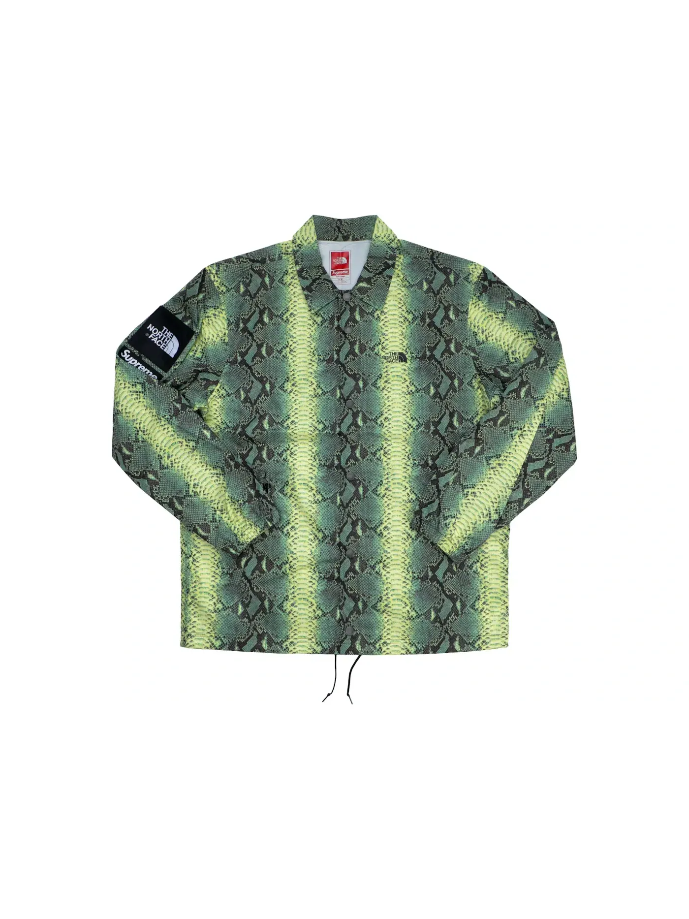 Мужская куртка с принтом Supreme The North Face Snakeskin Taped Seam Coaches Jacket — изображение 1 из 2, зеленый