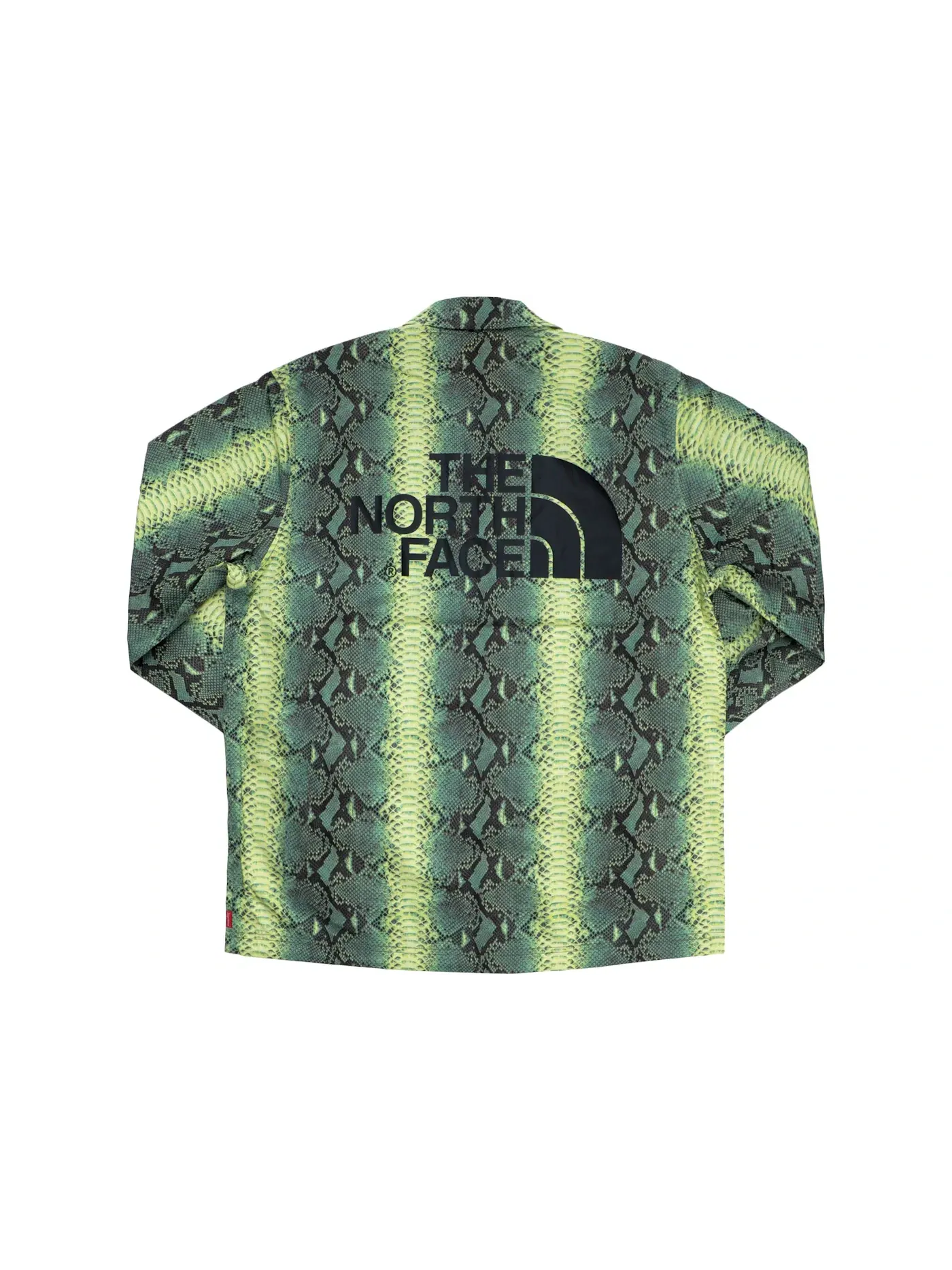 Мужская куртка с принтом Supreme The North Face Snakeskin Taped Seam Coaches Jacket — изображение 2 из 2, зеленый