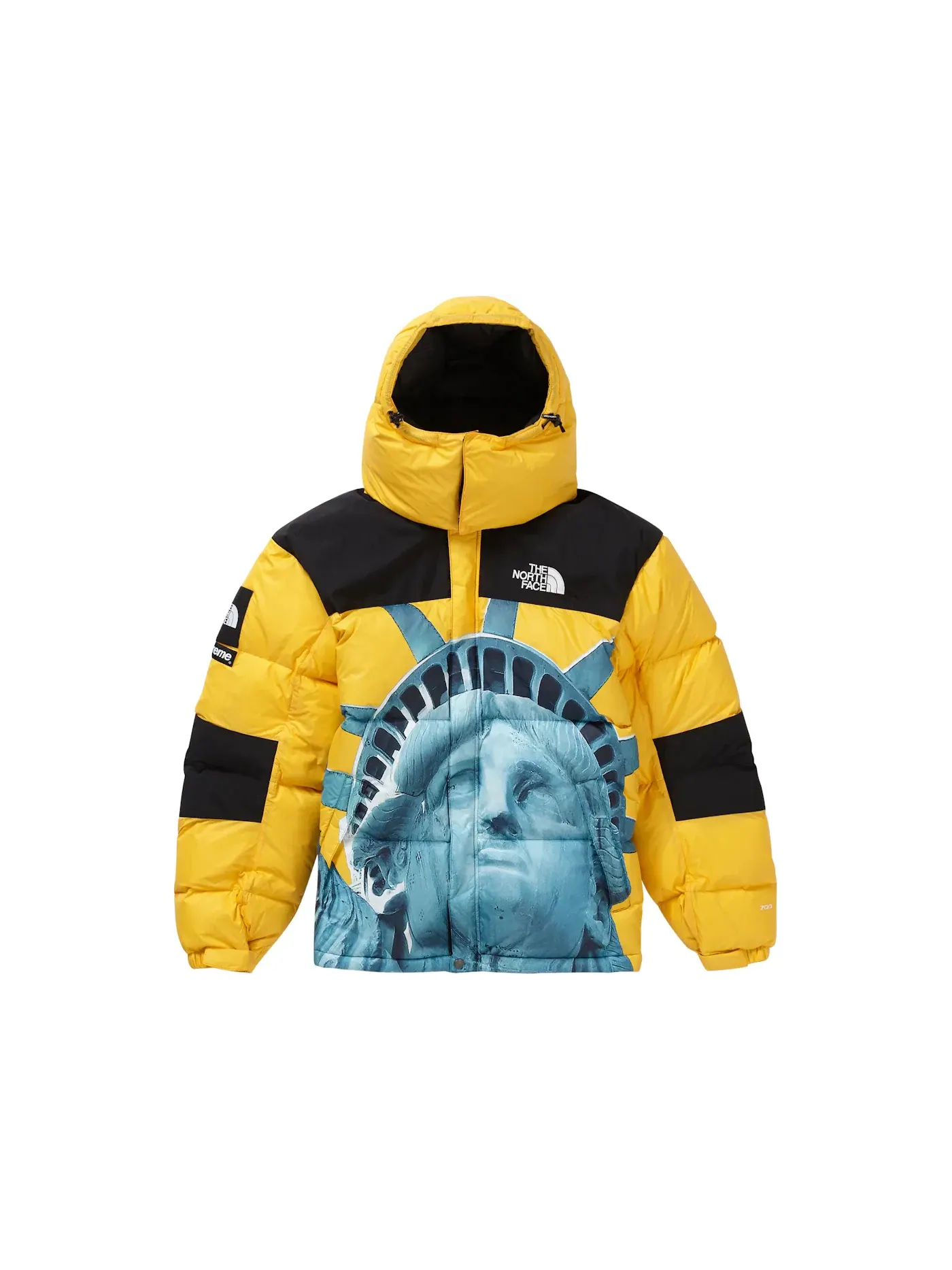 Мужская куртка с принтом Baltoro Jacket Supreme — изображение 1 из 3, желтый