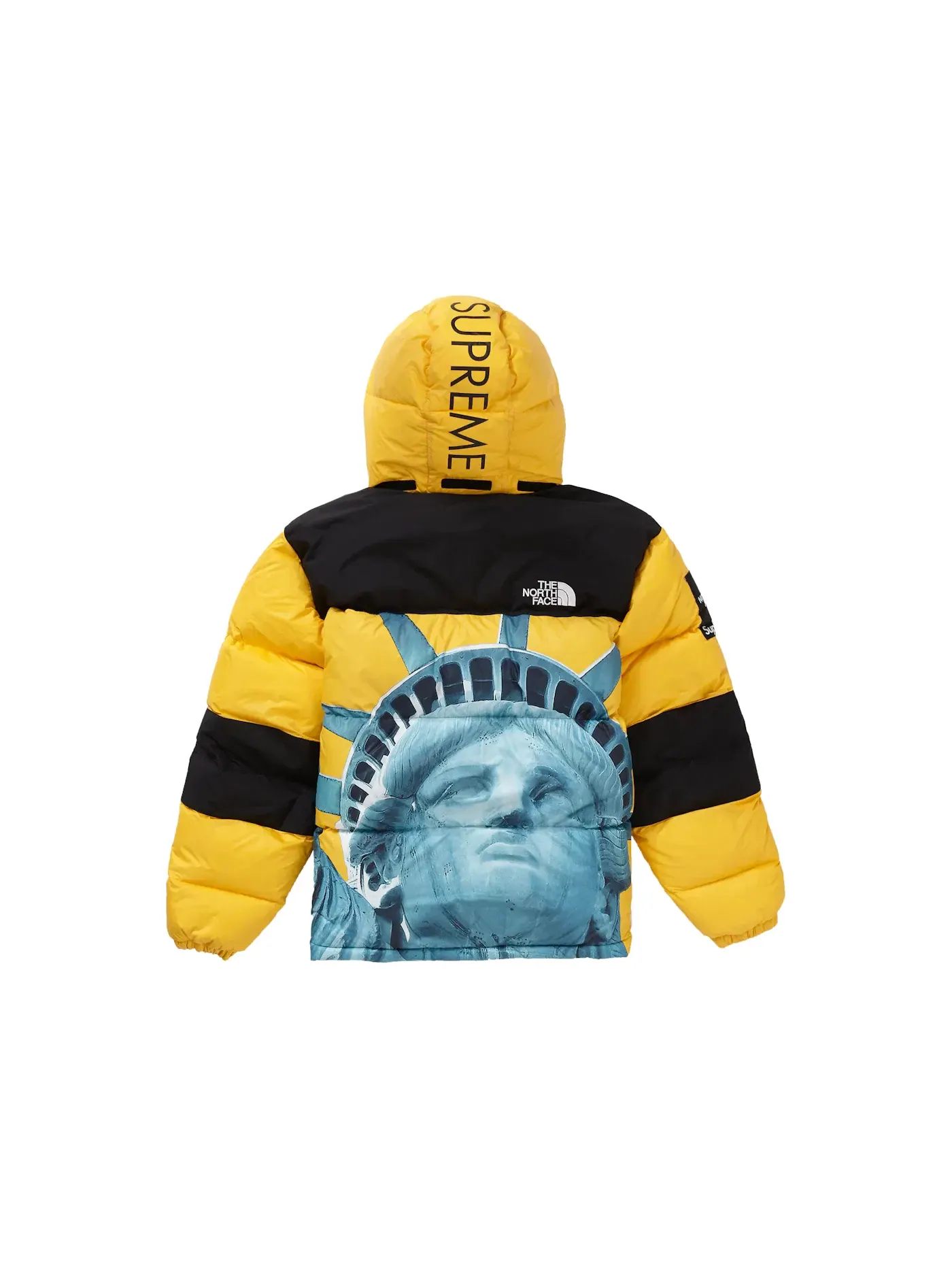 Мужская куртка с принтом Baltoro Jacket Supreme — изображение 3 из 3, желтый