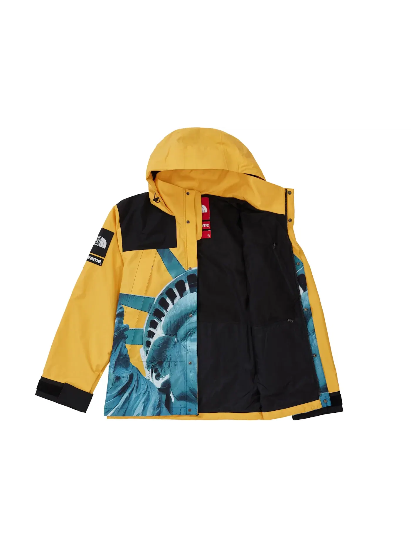 Мужская куртка с принтом Статуи Свободы Supreme The North Face — изображение 2 из 3, желтый