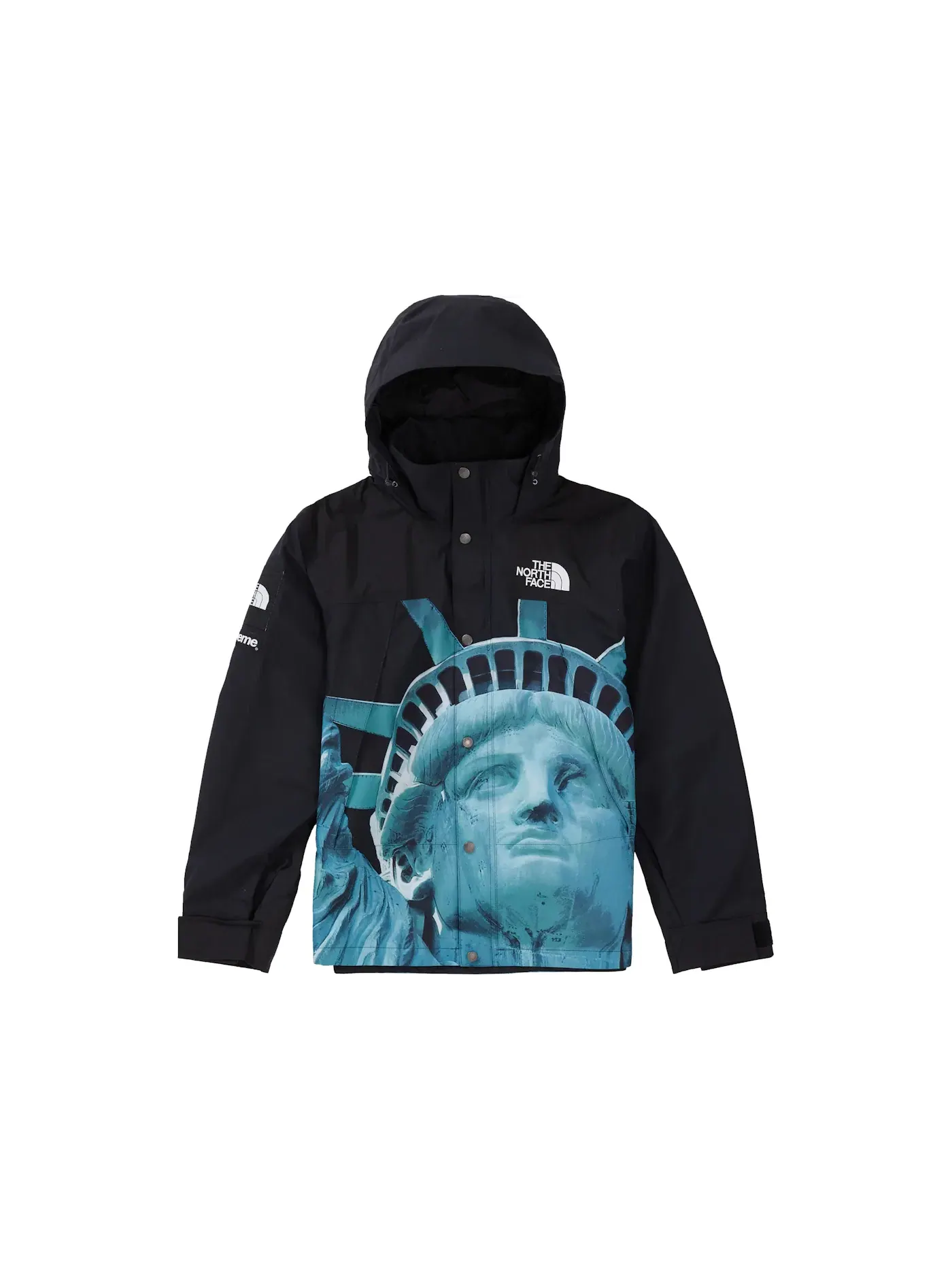 Мужская куртка-пуховик с принтом Mountain Jacket Supreme The North Face — изображение 1 из 3, черный