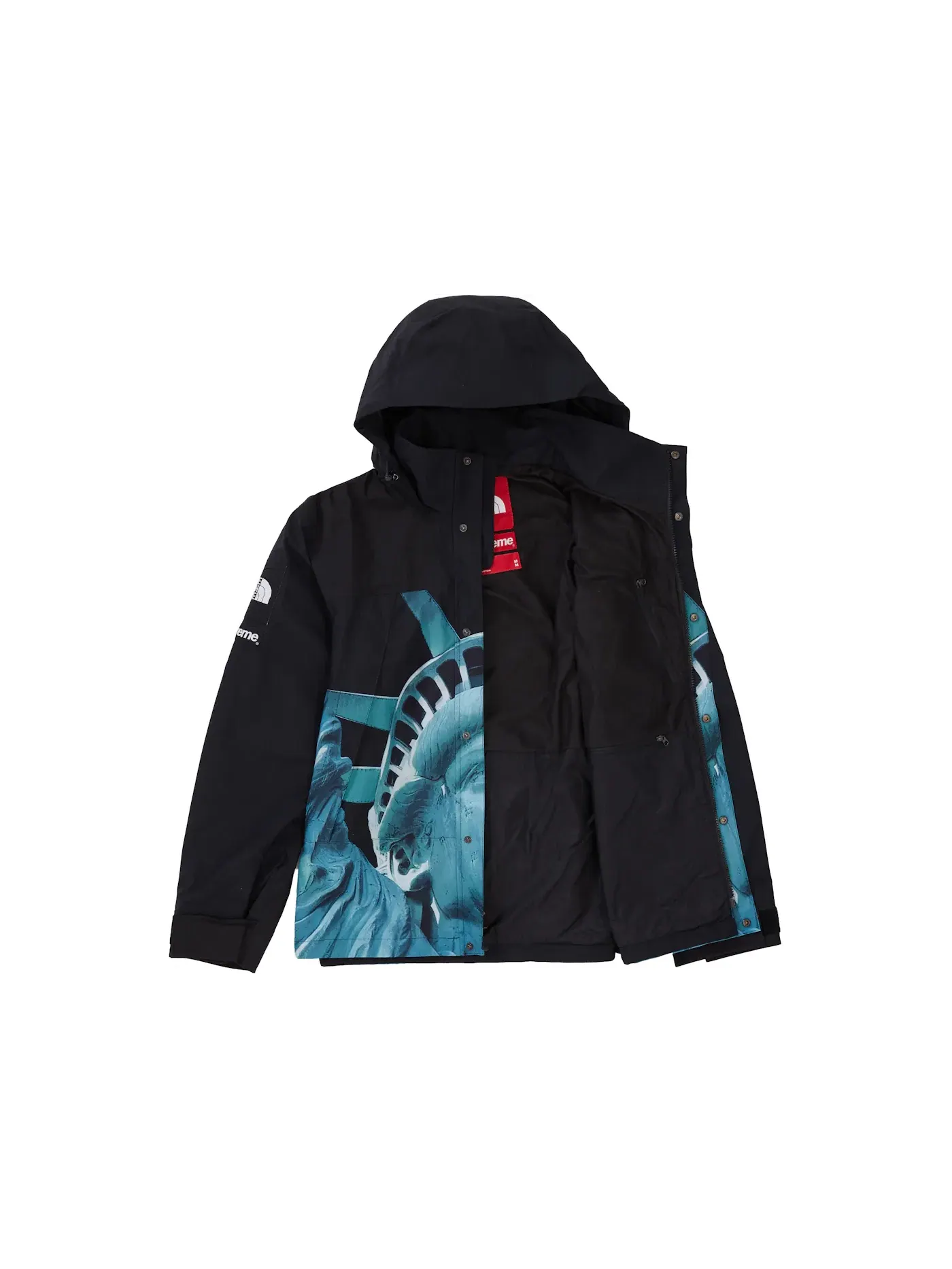 Мужская куртка-пуховик с принтом Mountain Jacket Supreme The North Face — изображение 2 из 3, черный