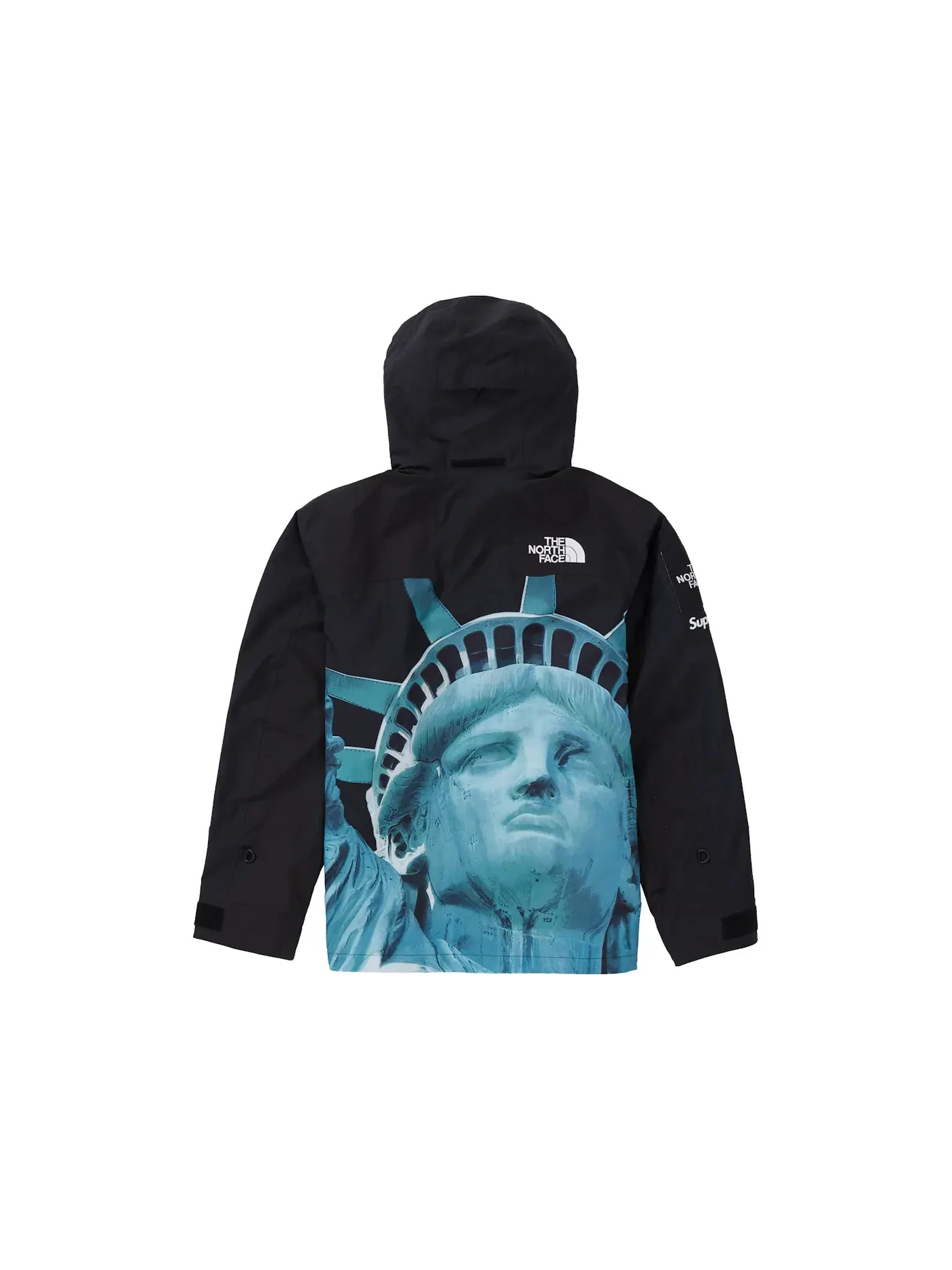 Мужская куртка-пуховик с принтом Mountain Jacket Supreme The North Face — изображение 3 из 3, черный