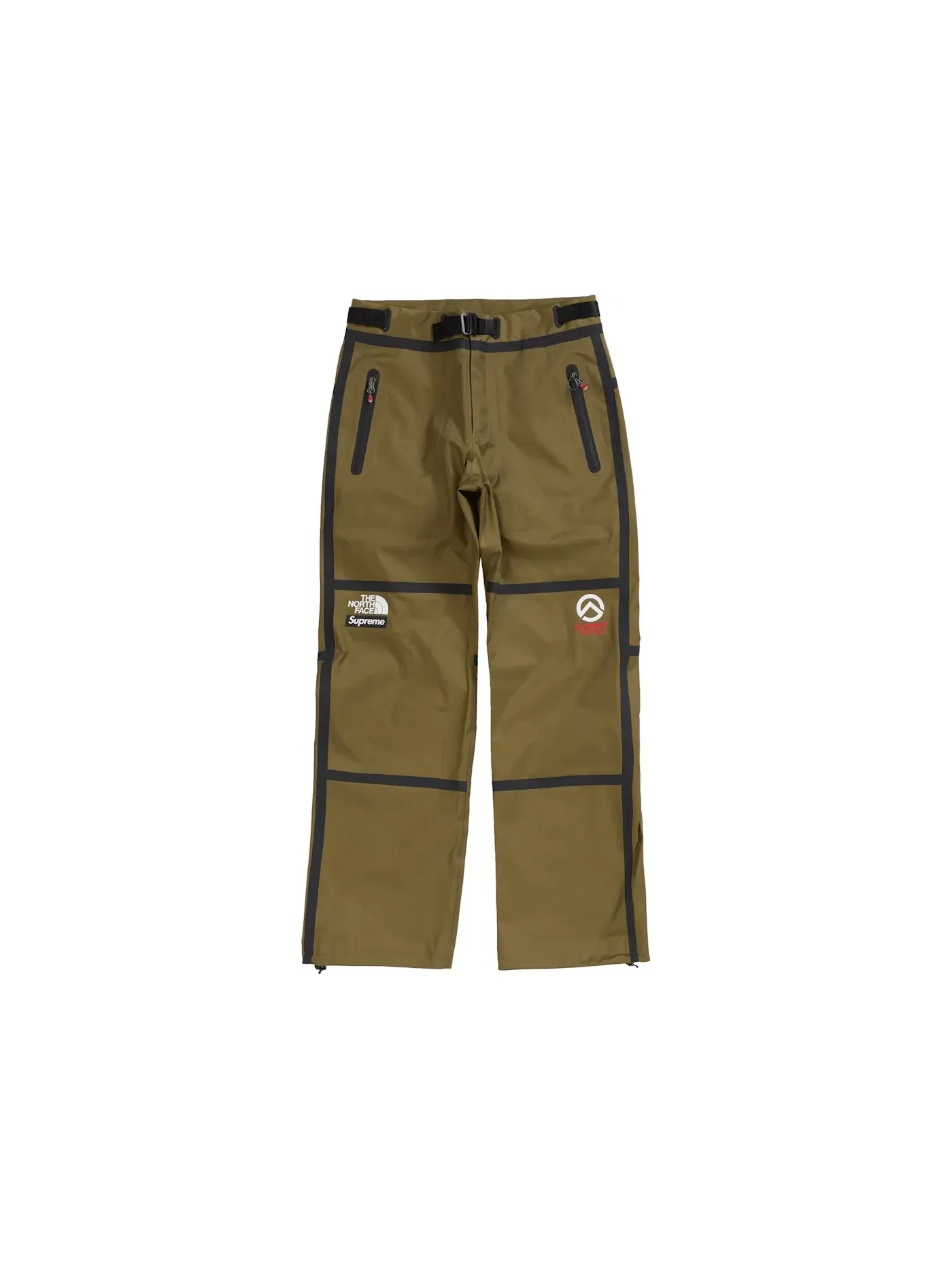 Мужские штаны с принтом Summit Series Supreme The North Face — изображение 1 из 2, оливковый