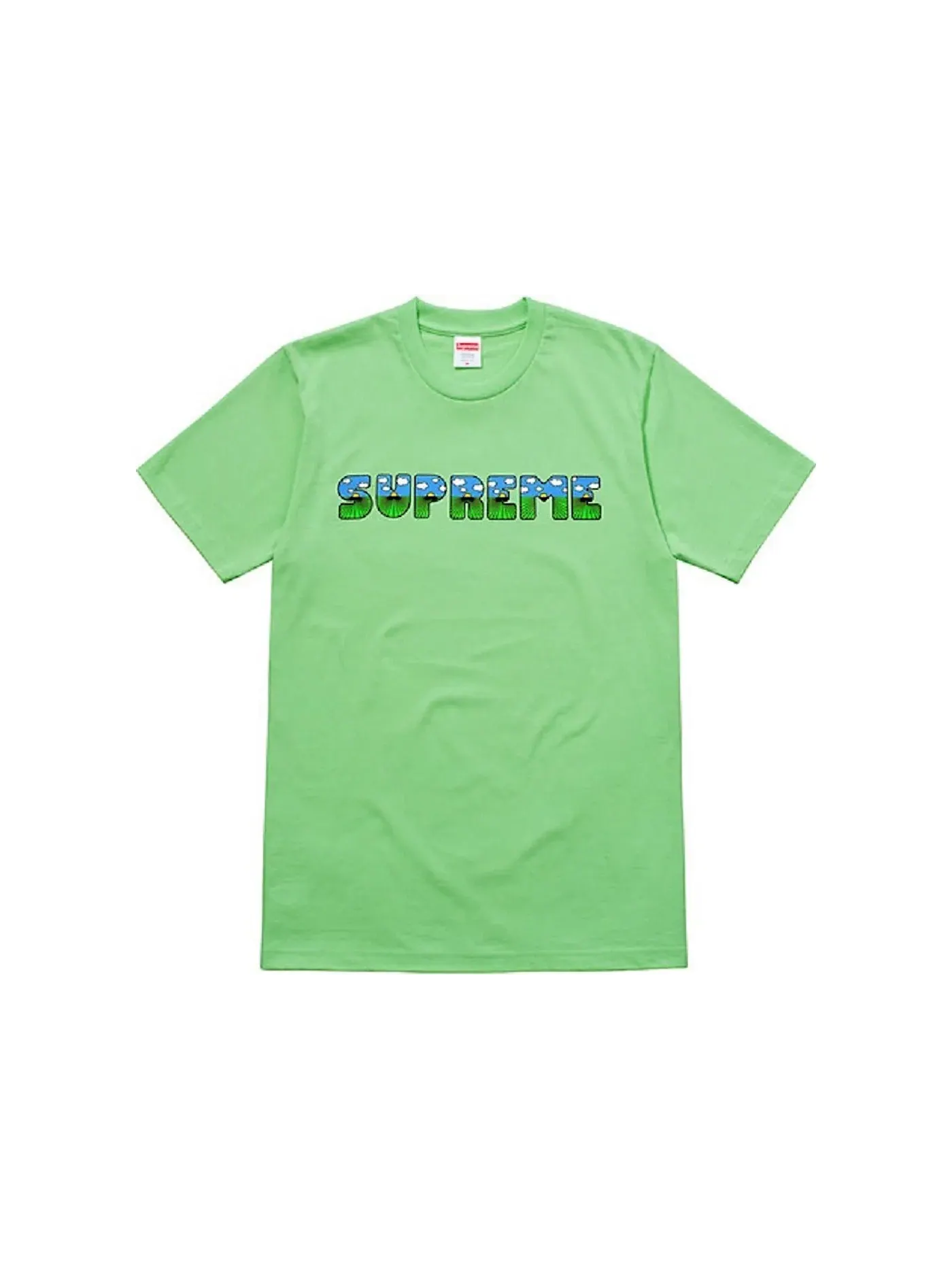 Мужская футболка с принтом Supreme The Shit Tee — изображение 1 из 1, мята