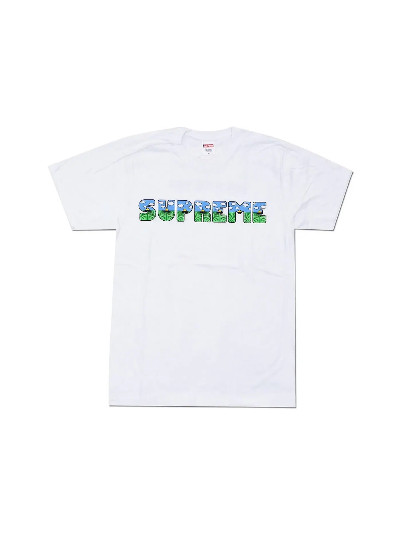 Мужская футболка с принтом Supreme Tee — изображение 1 из 1, белый