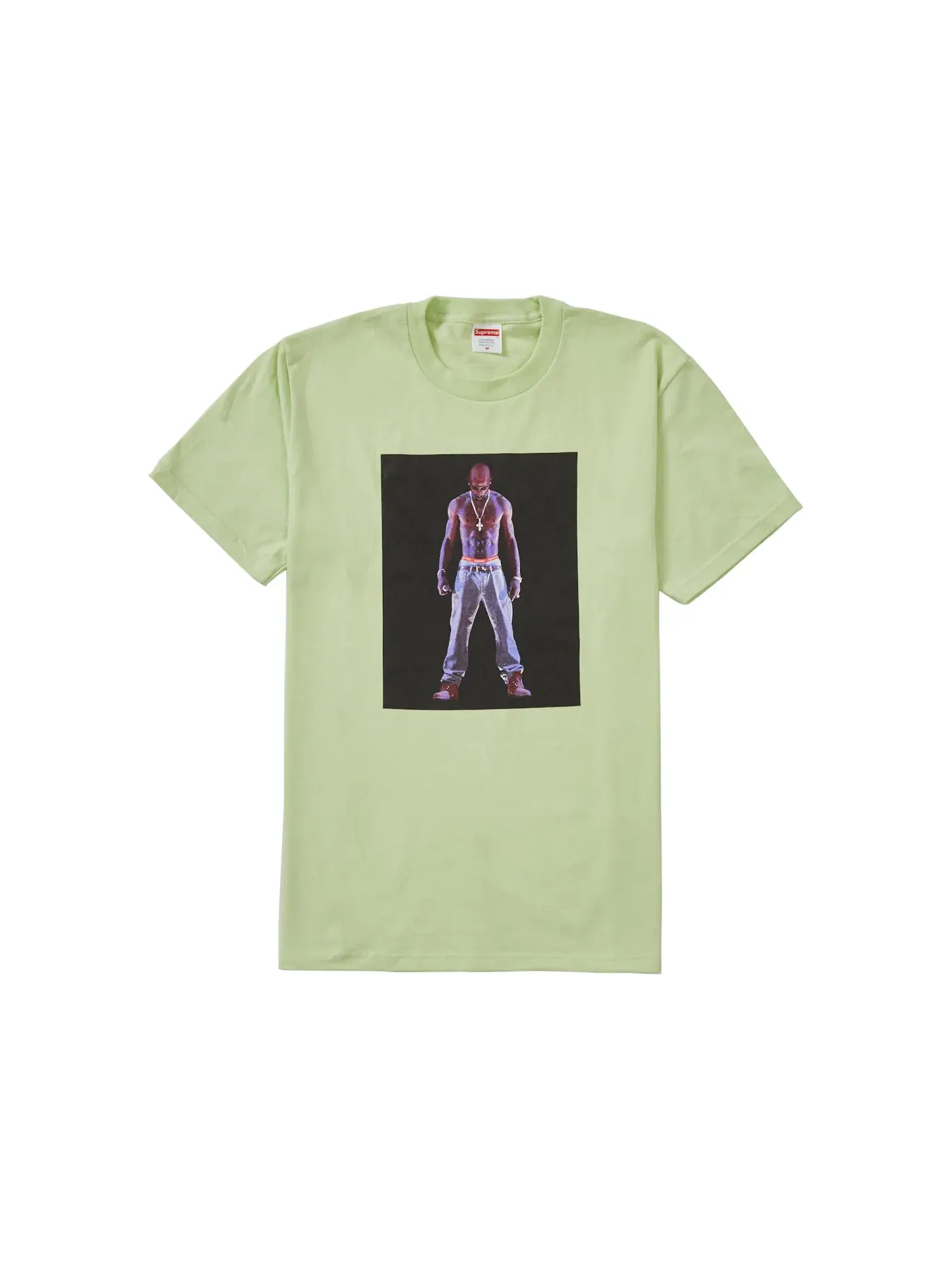 Мужская футболка с принтом Tee Supreme, Pale Mint — изображение 1 из 1