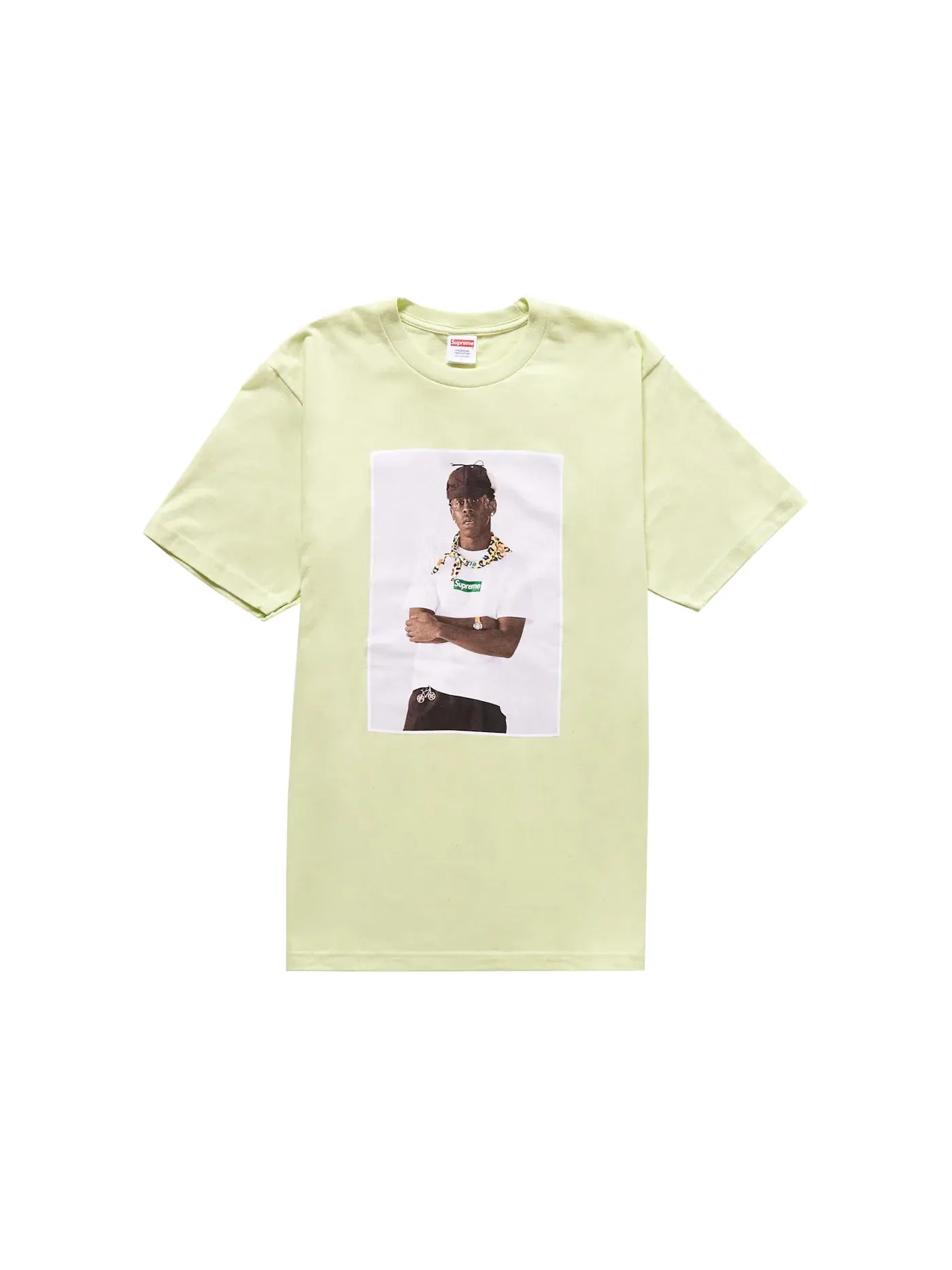 Мужская футболка с принтом Tee Supreme, Pale Mint — изображение 1 из 1