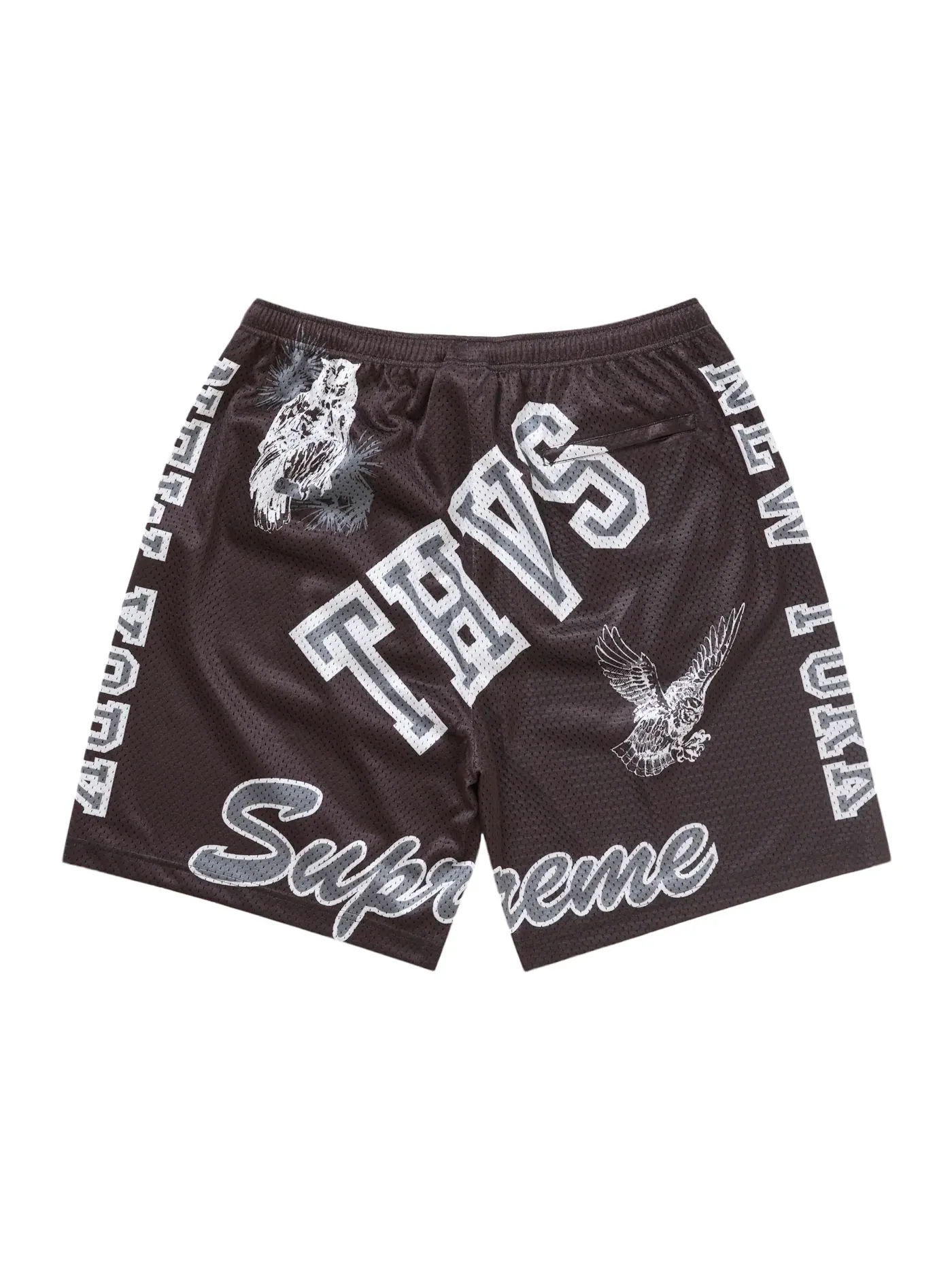 Мужские шорты с сетчатым материалом Varsity Mesh Short Supreme — изображение 2 из 2, черный