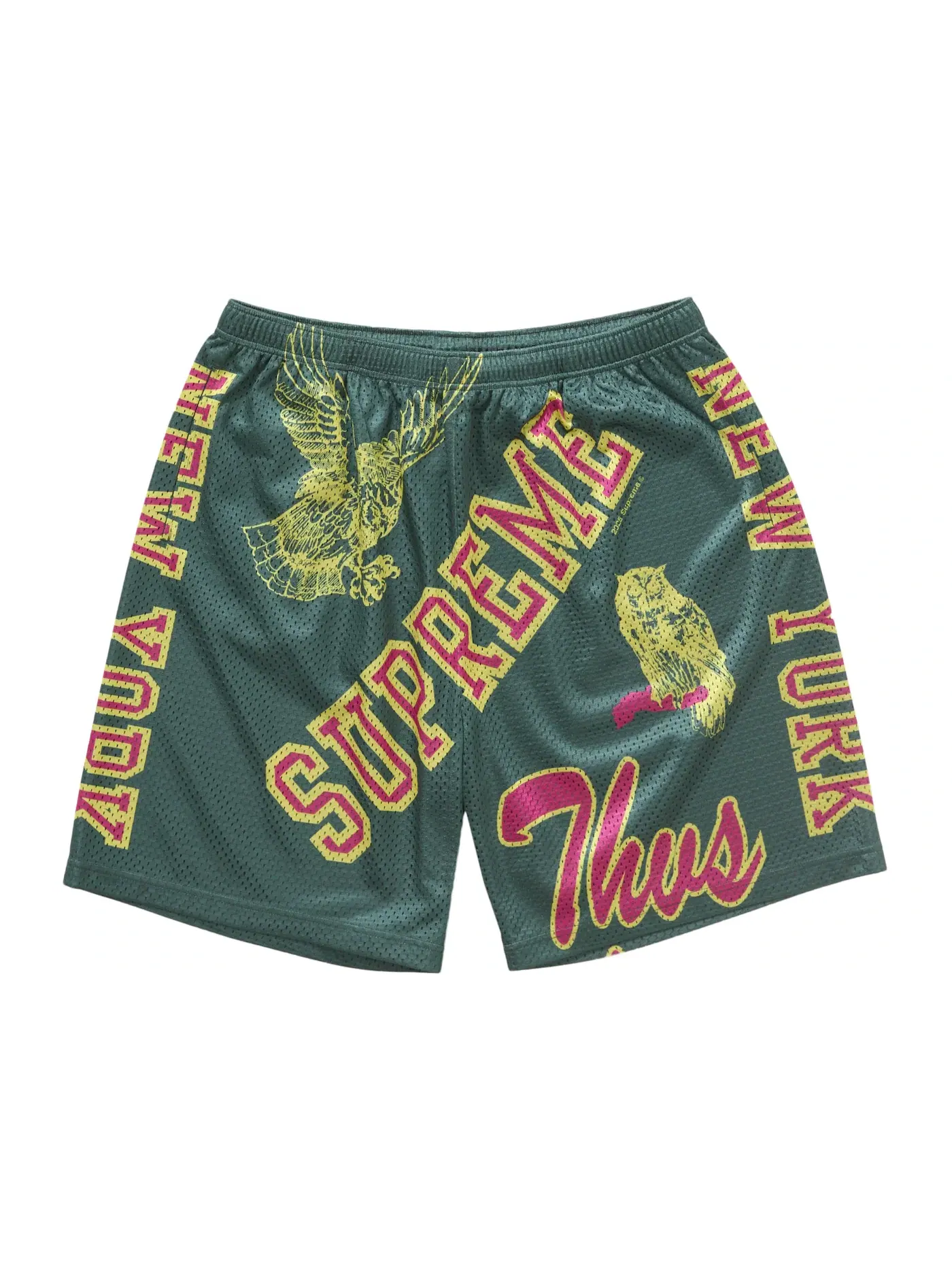 Мужские шорты из сетки Varsity Mesh Supreme — изображение 1 из 2, зеленый