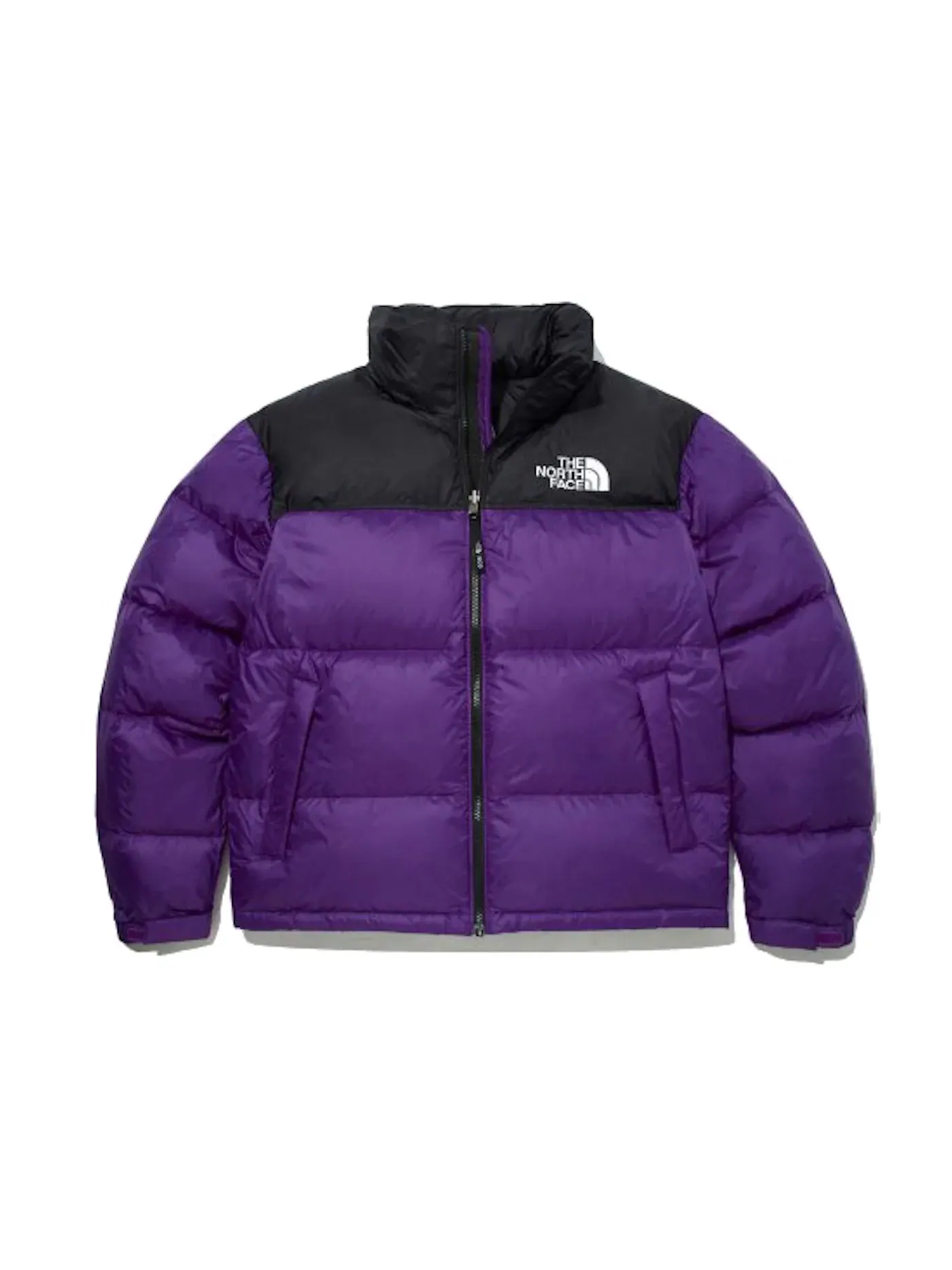 Мужская куртка пуховая с капюшоном The North Face 1996 Retro Eco Nuptse Packable Jacket (Asia Sizing) — изображение 1 из 3