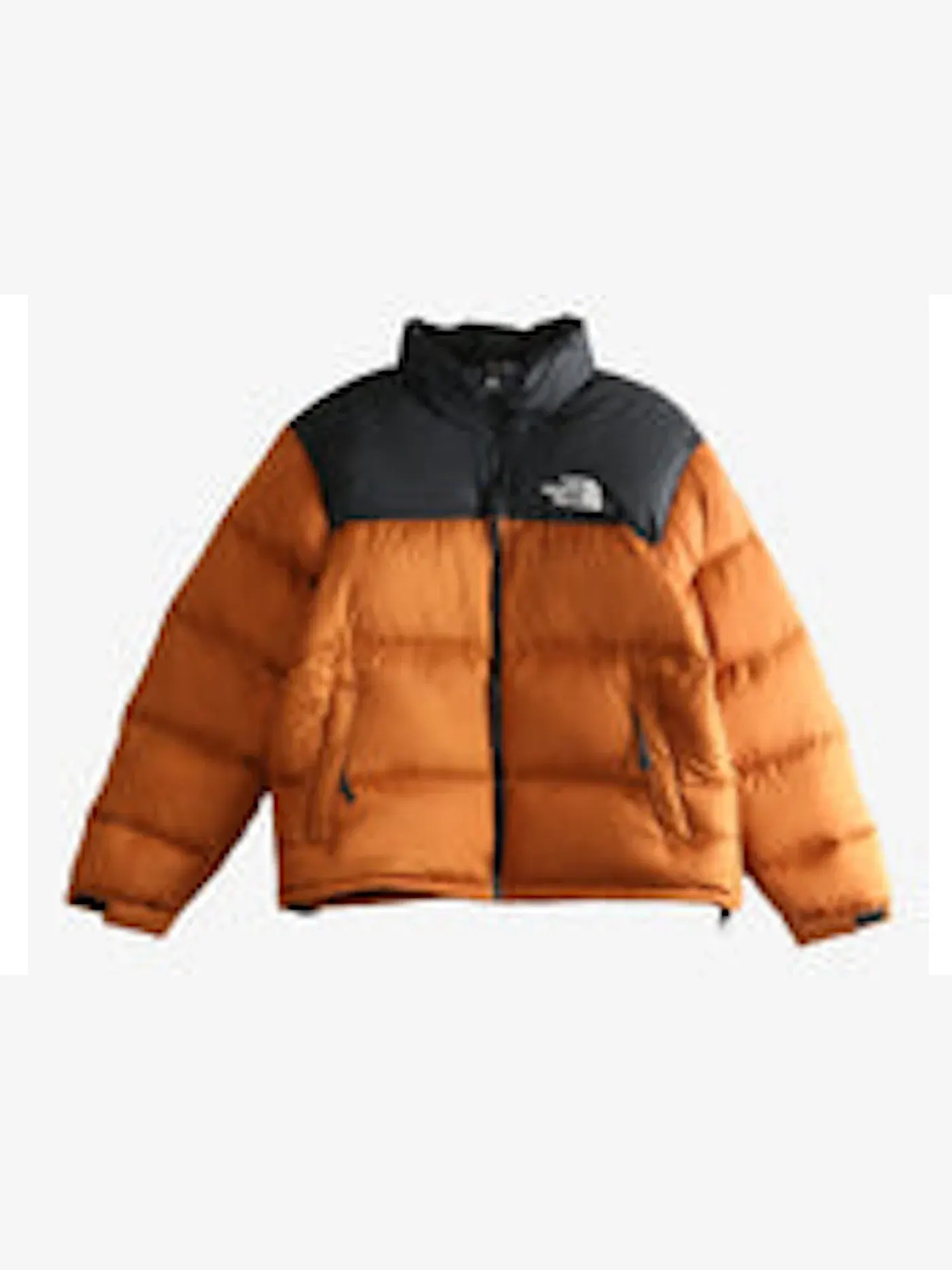 Мужская куртка пуховая с принтом The North Face 1996 Retro Nuptse Jacket — изображение 1 из 1, черный