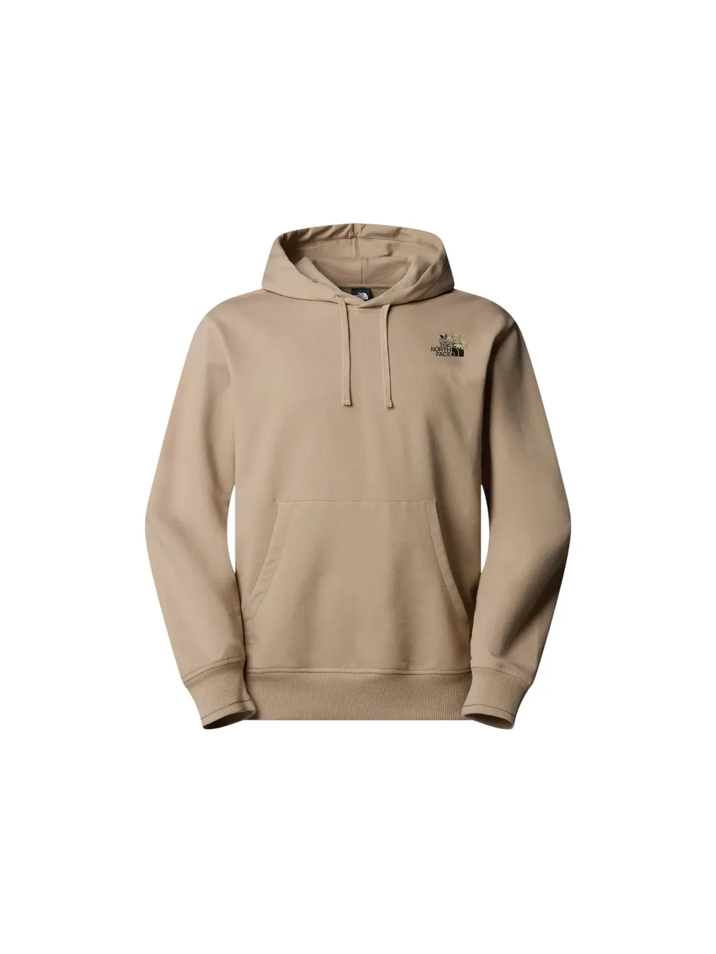 Мужская худи с капюшоном свободного кроя Flower Dome The North Face — изображение 1 из 2, серый