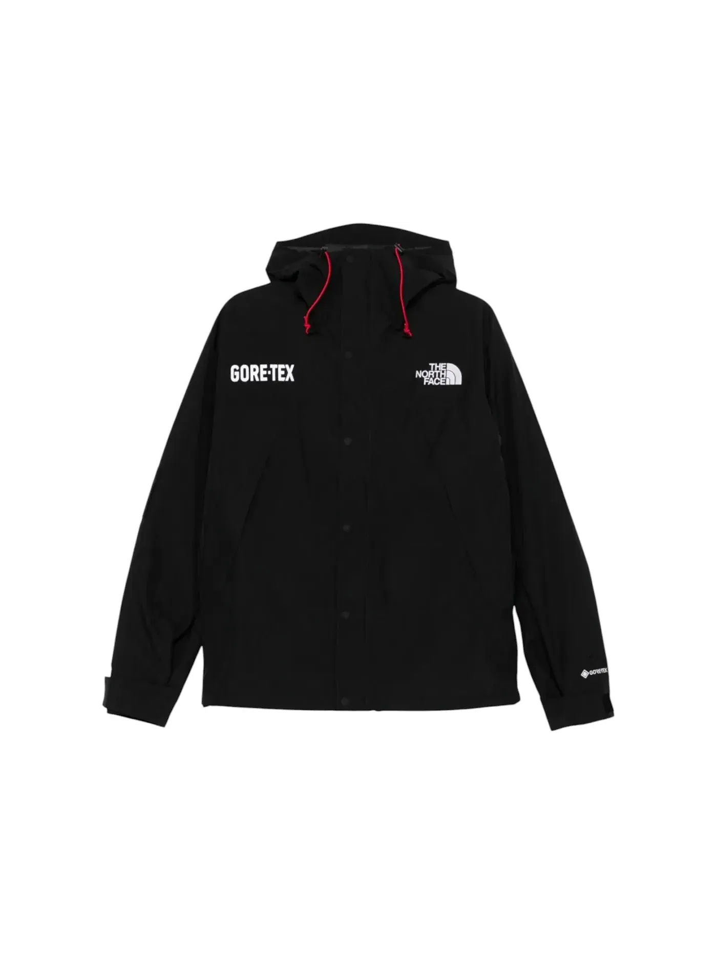 Мужская куртка GTX Mountain Jacket The North Face — изображение 1 из 1, черный/черный
