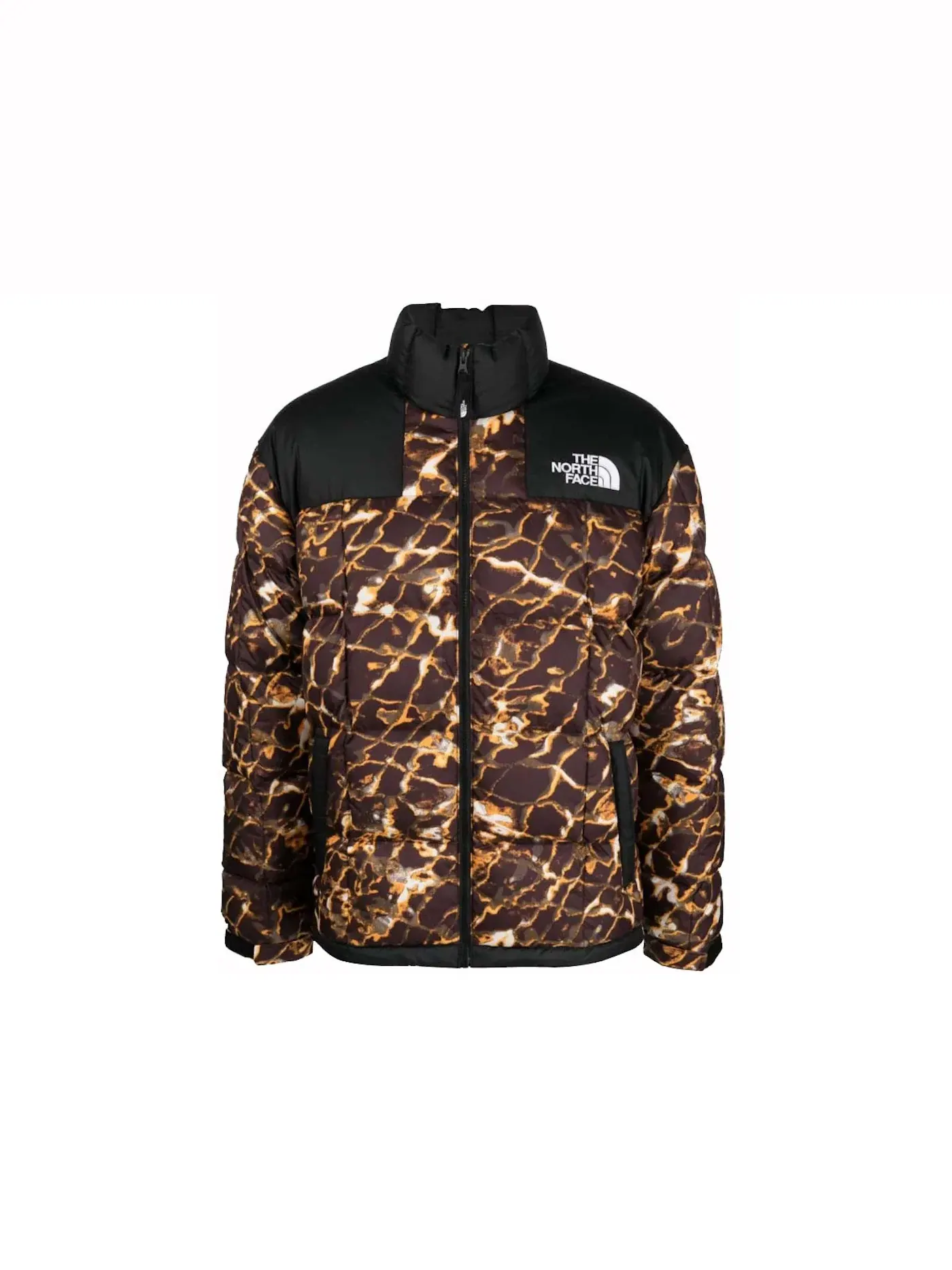 Мужская куртка The North Face — изображение 1 из 1, черный/золотистый