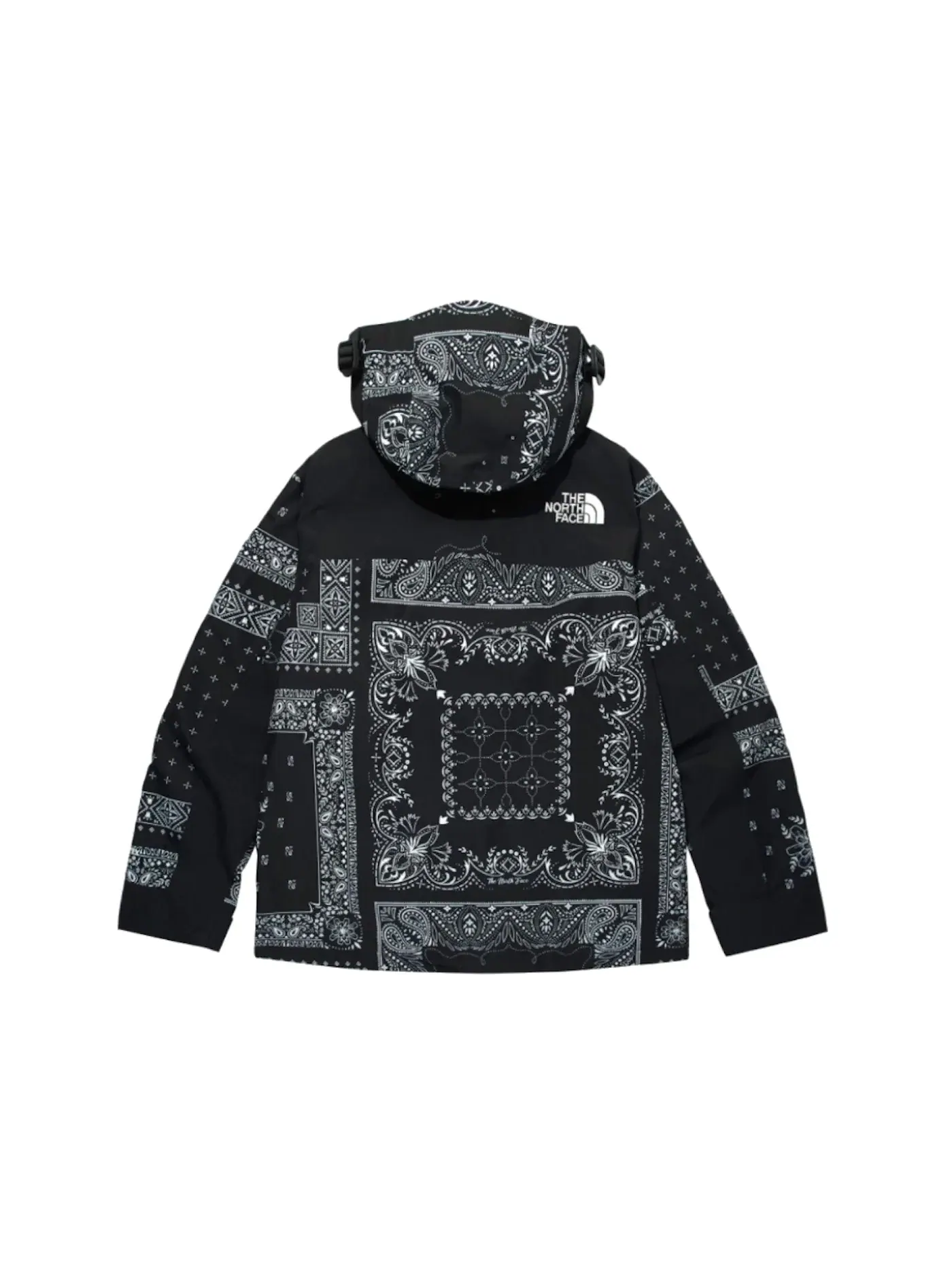 Мужская куртка с принтом Paisley Mountain The North Face — изображение 2 из 2, черный