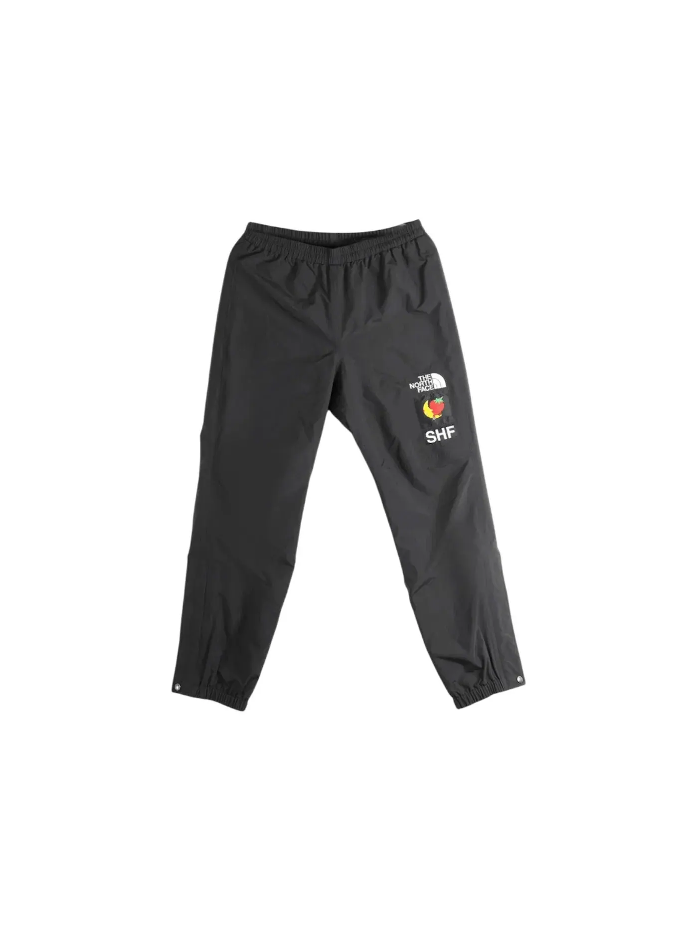 Мужские штаны The North Face Pant — 1