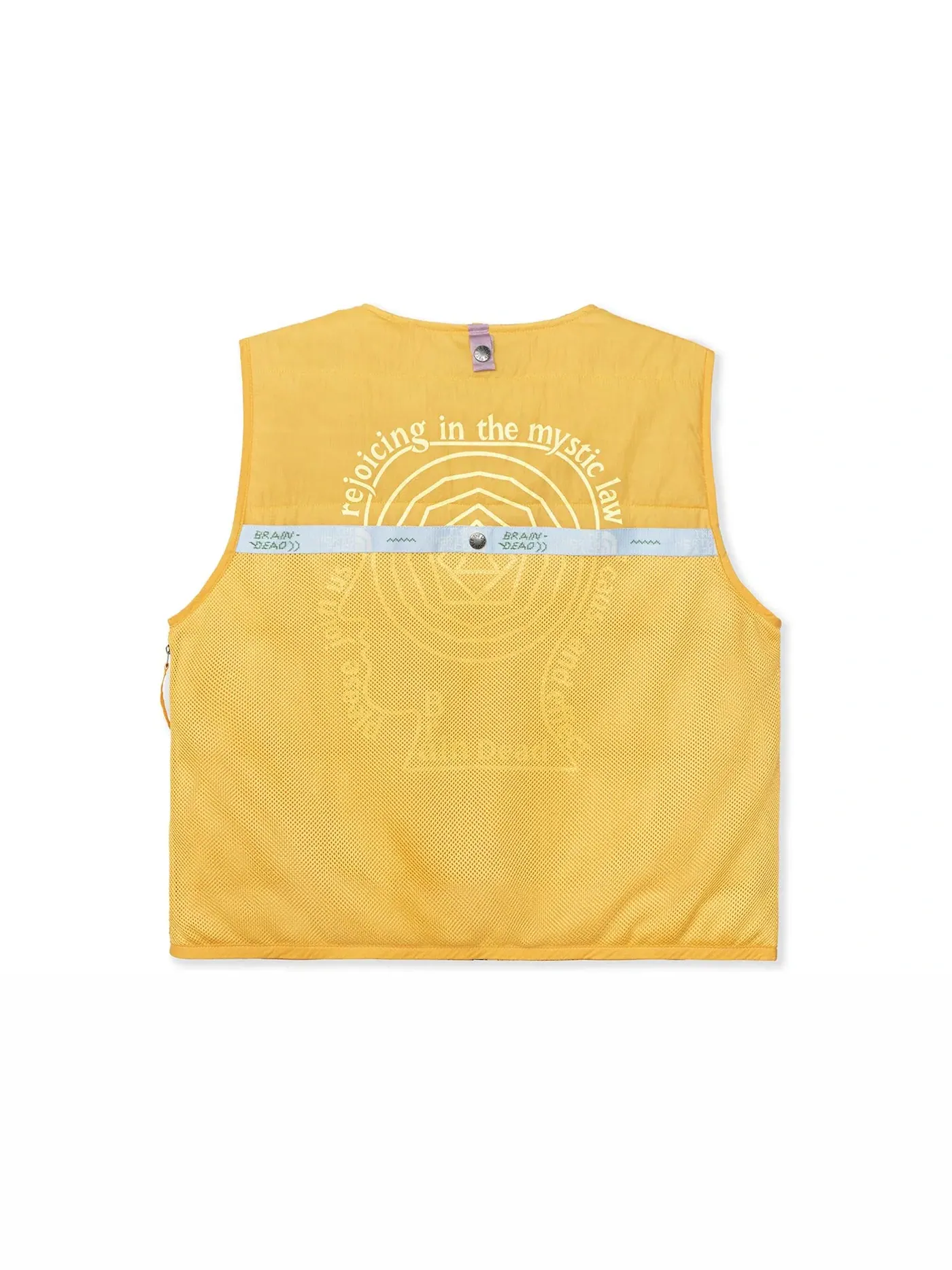 Мужской жилет The North Face x Brain Dead 68 Sierra Vest — изображение 2 из 2, желтый