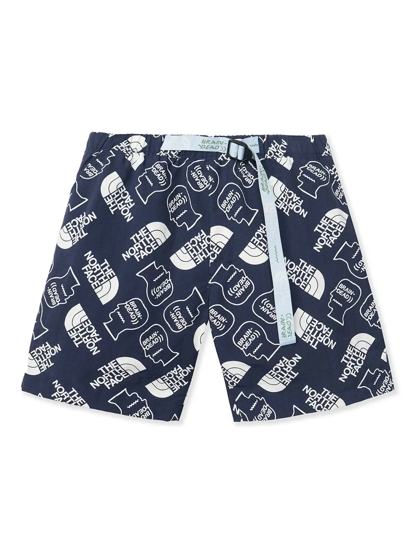 Мужские шорты с принтом The North Face Short — изображение 1 из 2, темно-синий