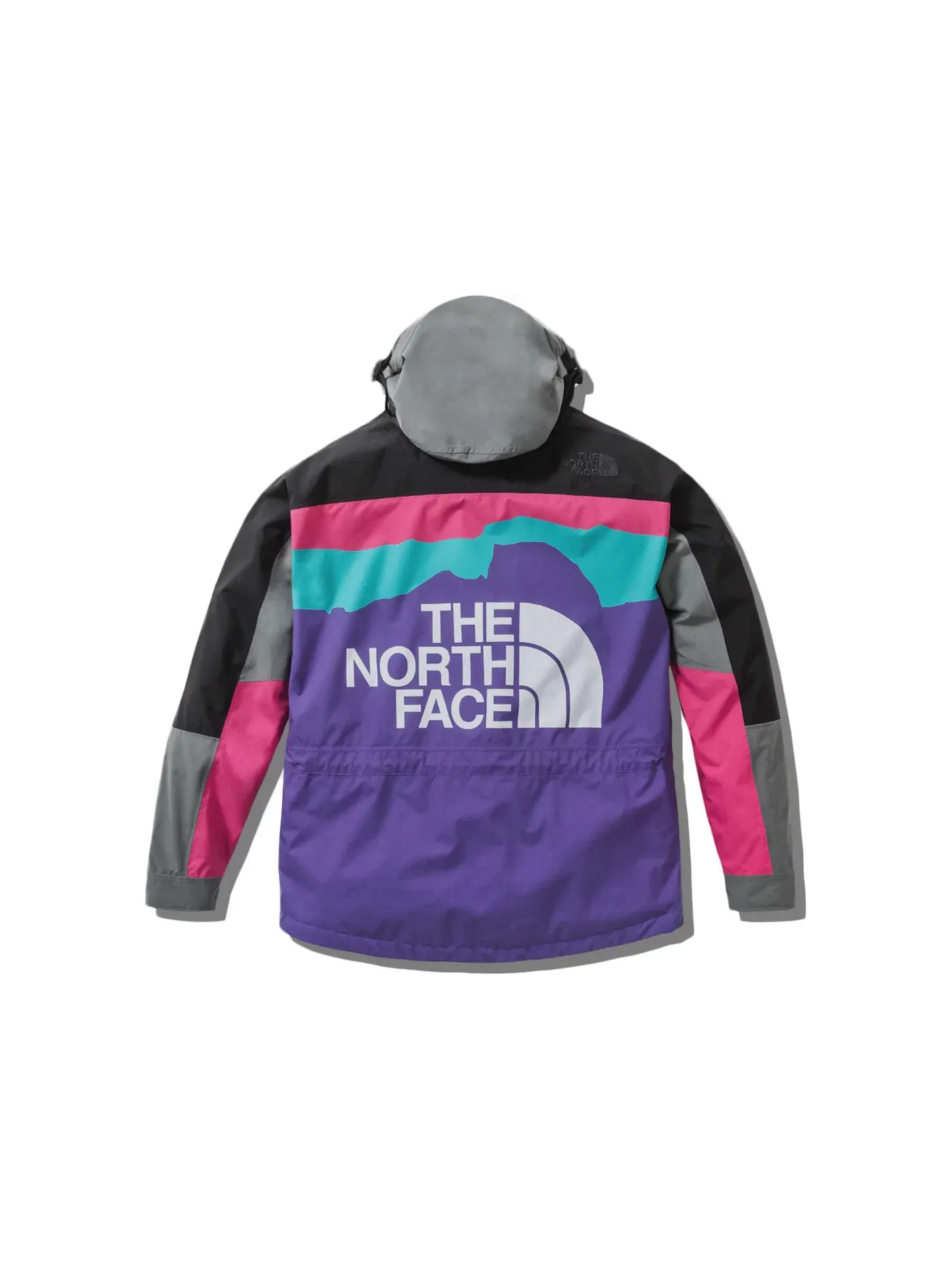 Мужская куртка с принтом The North Face x Invincible 1994 Retro Mountain Light Jacket — изображение 1 из 2, мульти