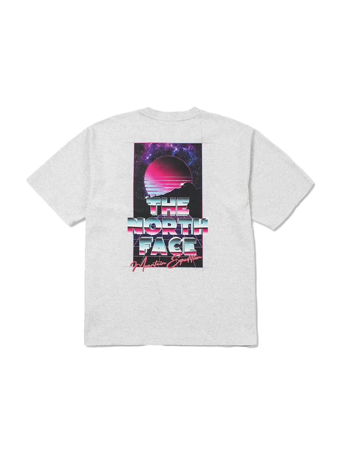 Мужская футболка с принтом The North Face x INVINCIBLE Printed Graphic Tee — изображение 1 из 2, серый